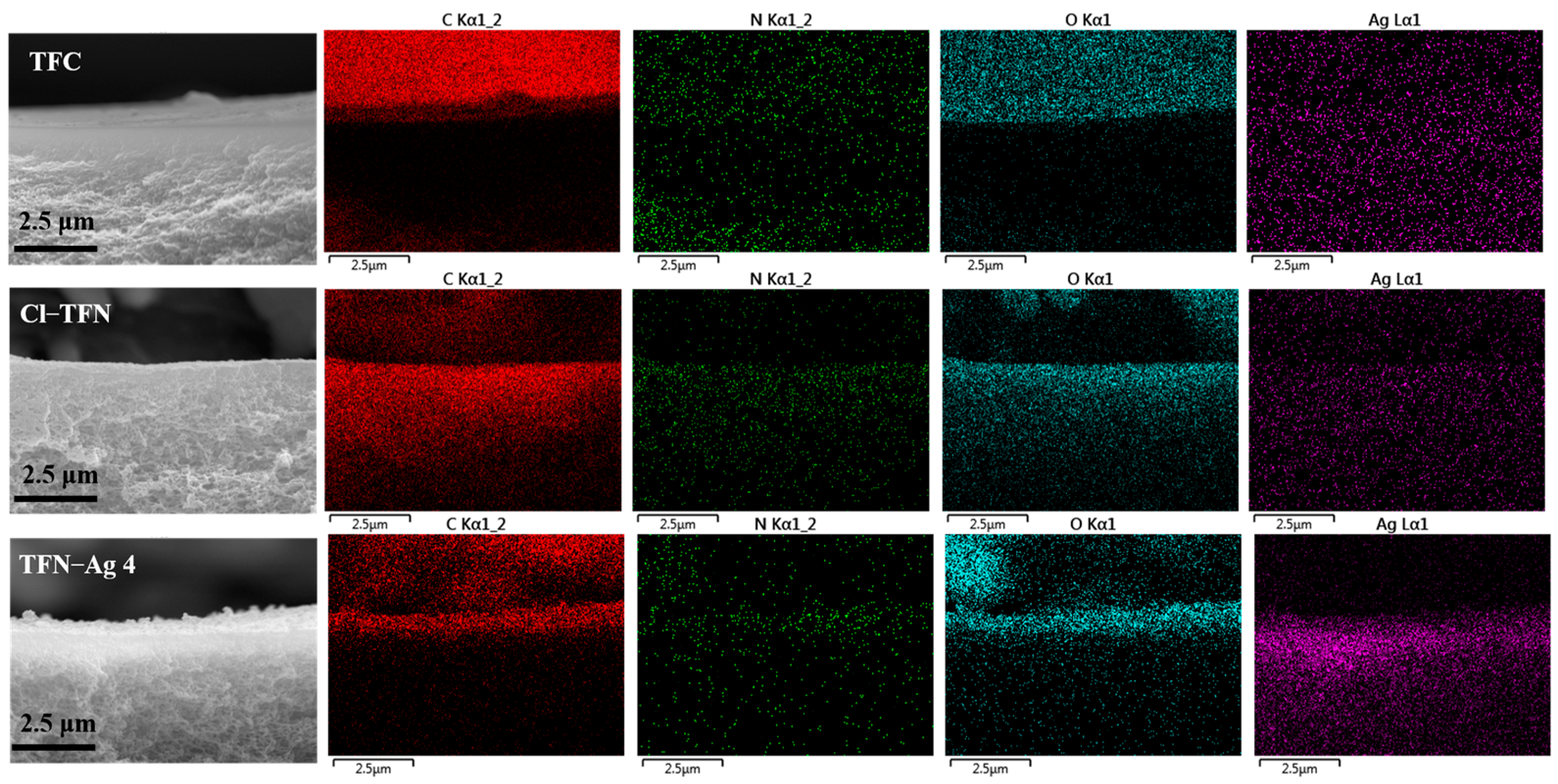 Membranes 13 00693 g007 Membranes 13 00693 g007
