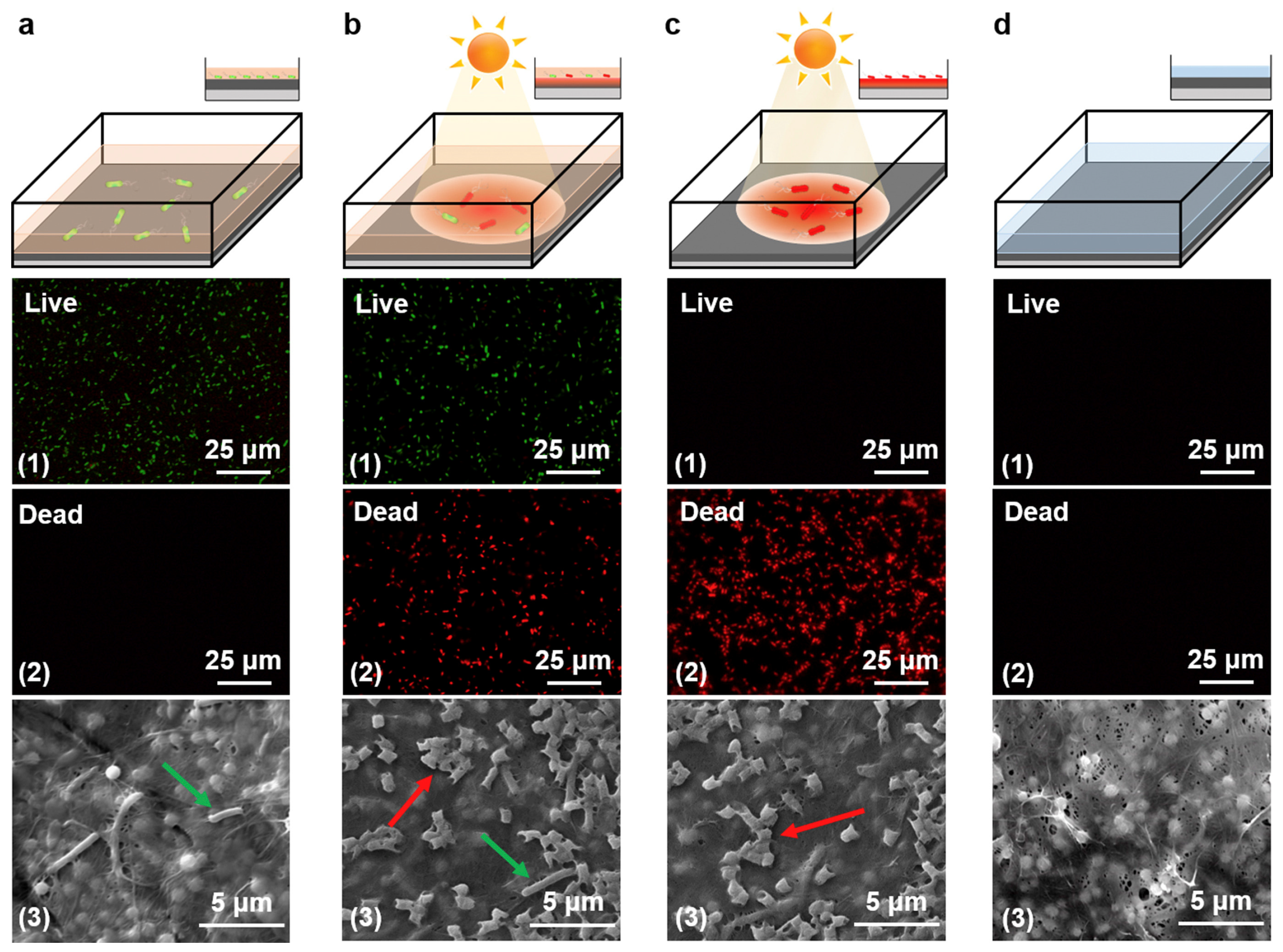 Membranes 13 00694 g003 Membranes 13 00694 g003