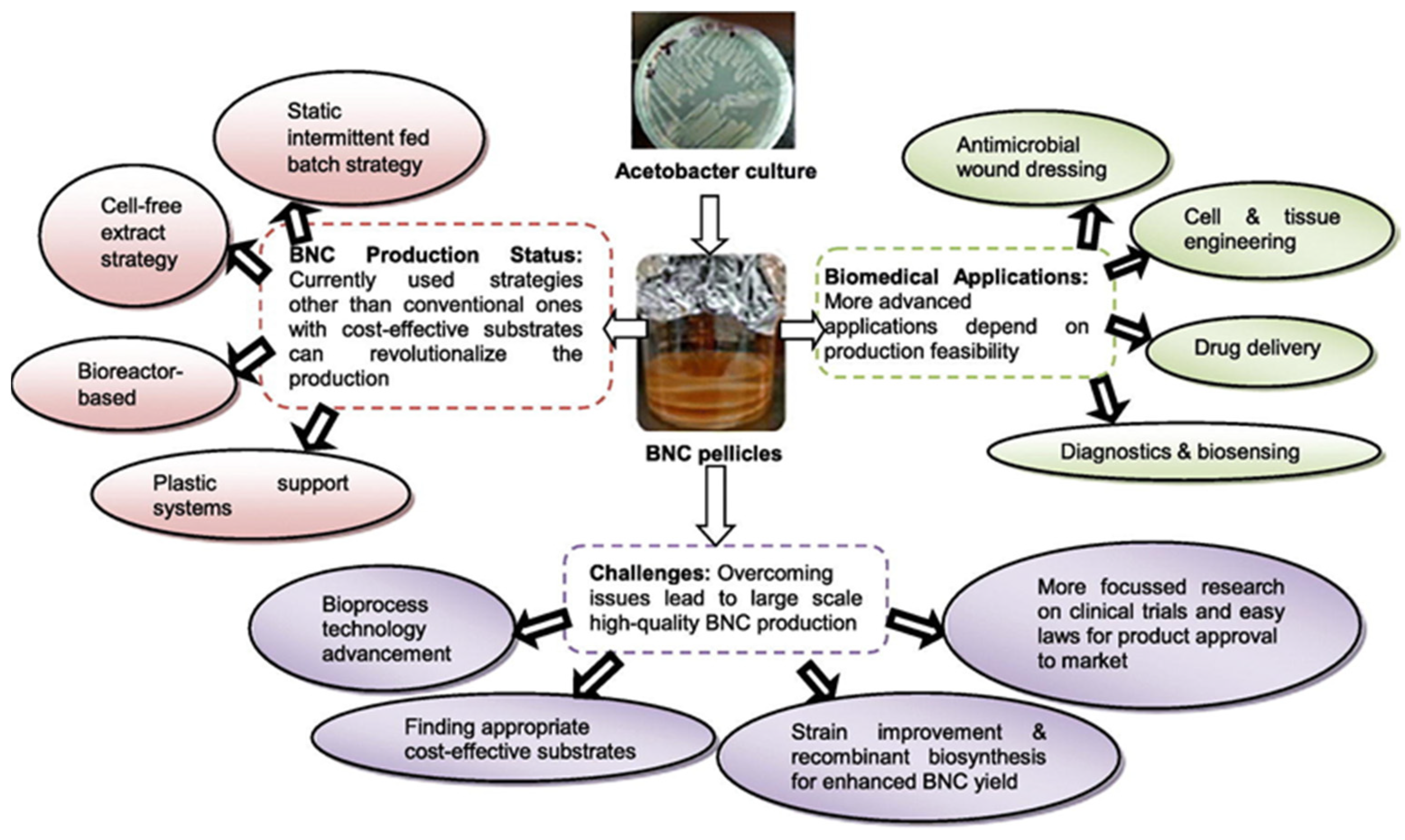 Membranes 13 00694 g006 Membranes 13 00694 g006