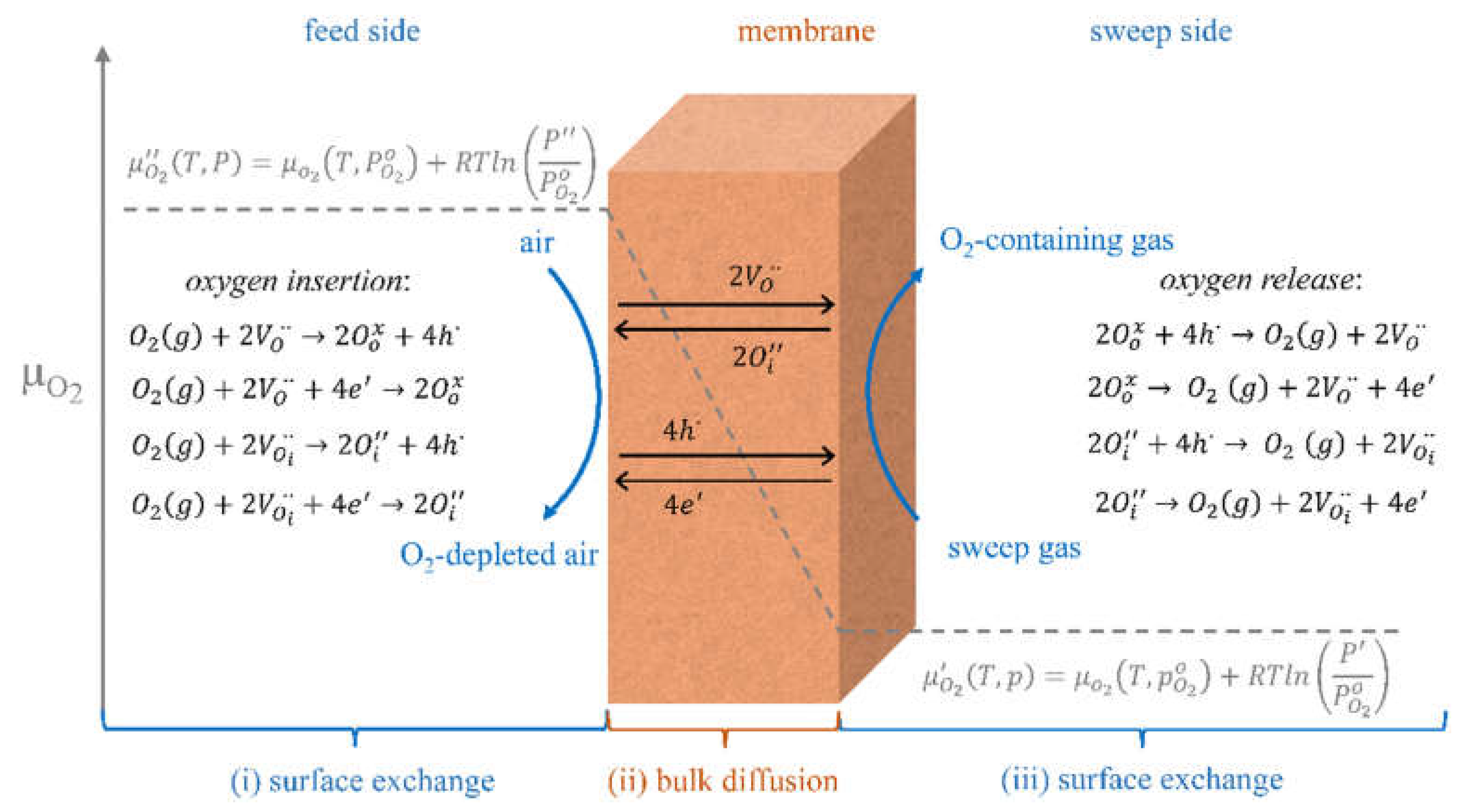 Membranes 13 00698 g002
