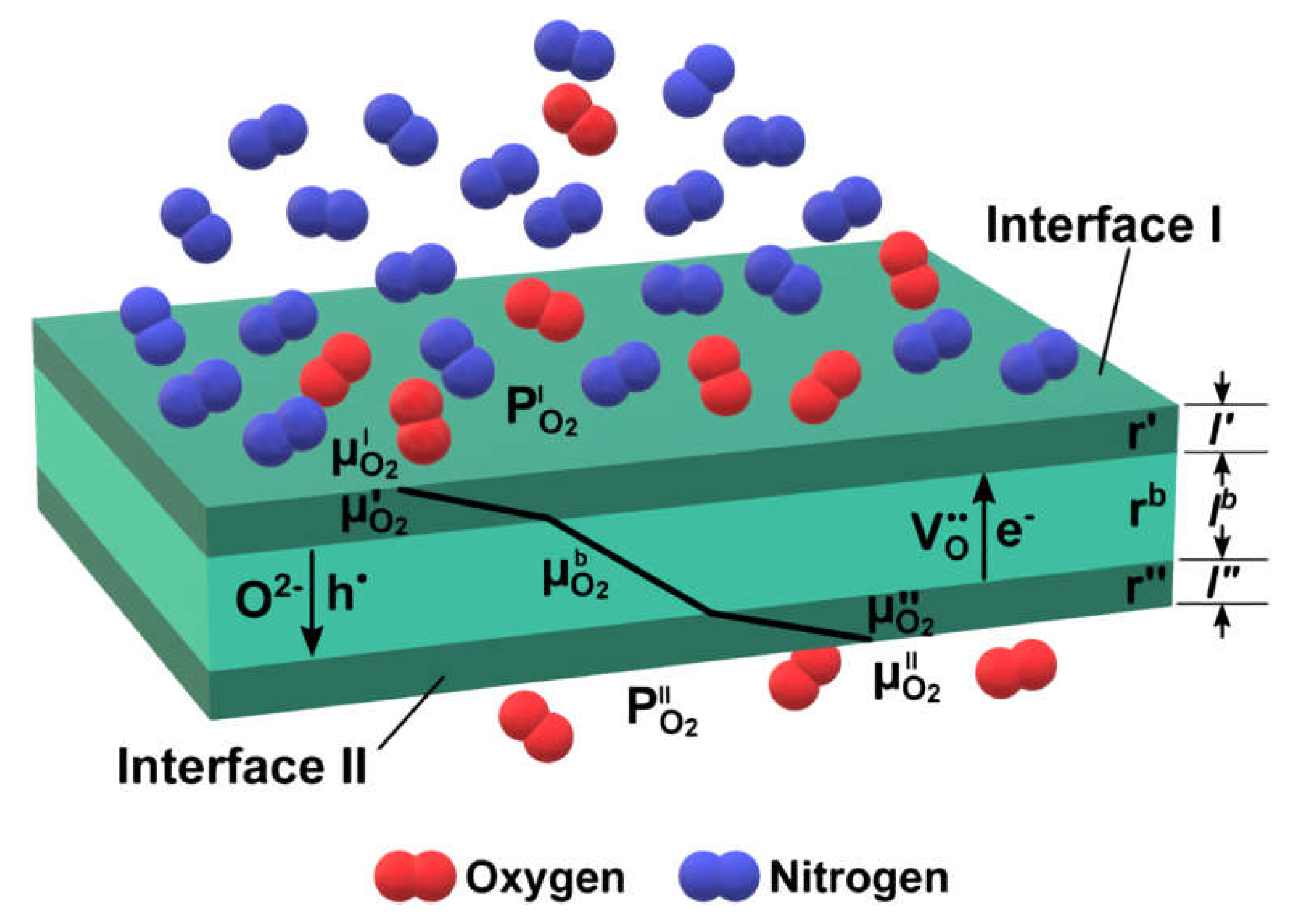 Membranes 13 00698 g003