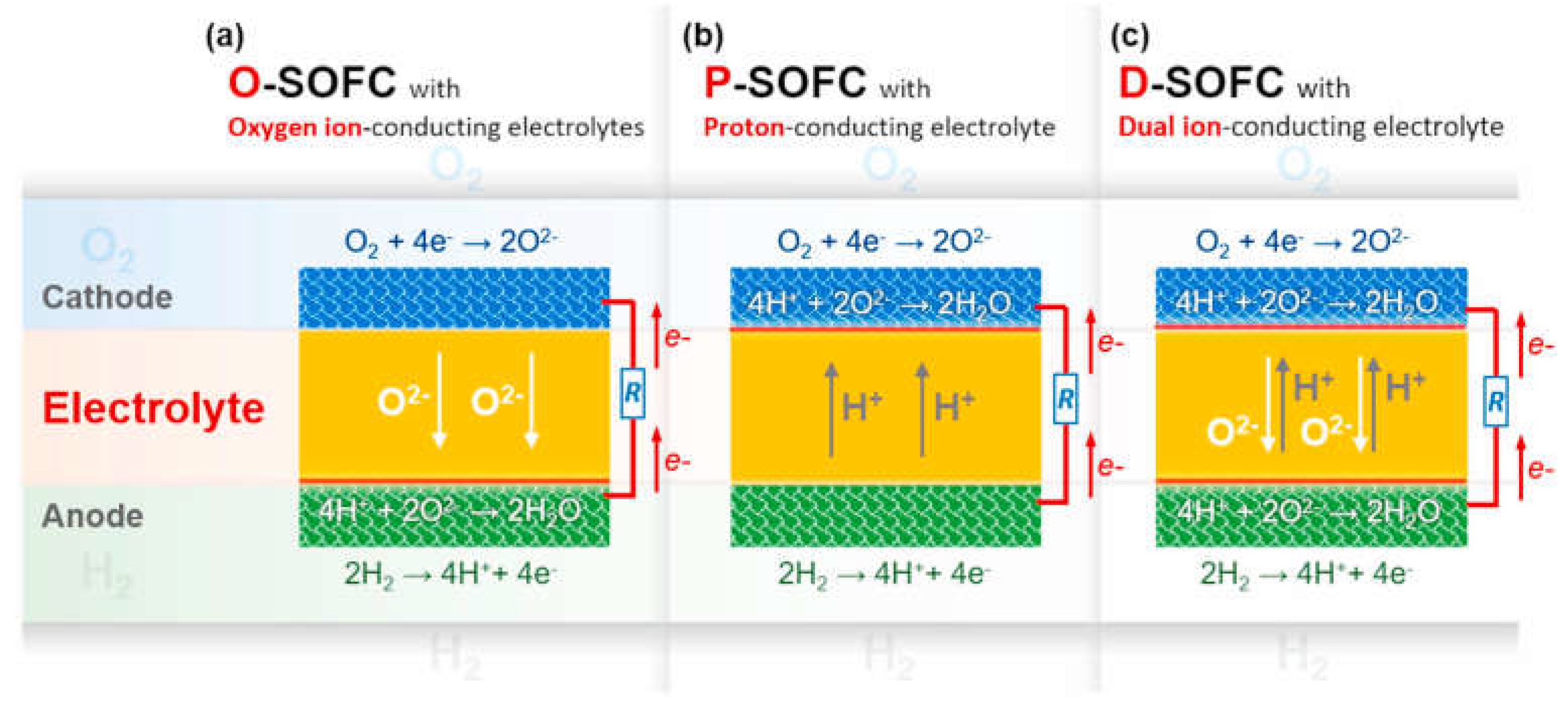 Membranes 13 00698 g005