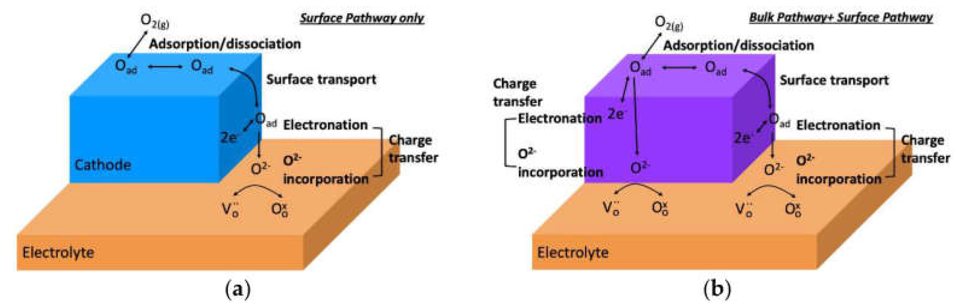 Membranes 13 00698 g006