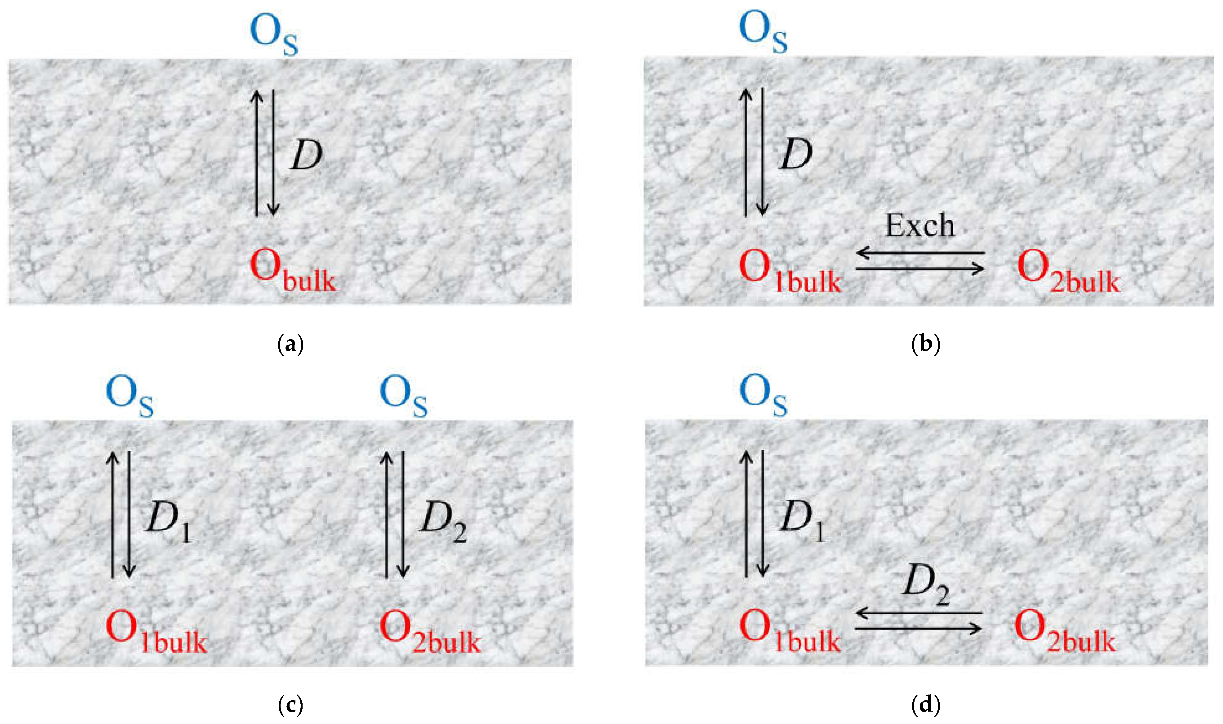 Membranes 13 00698 g011a