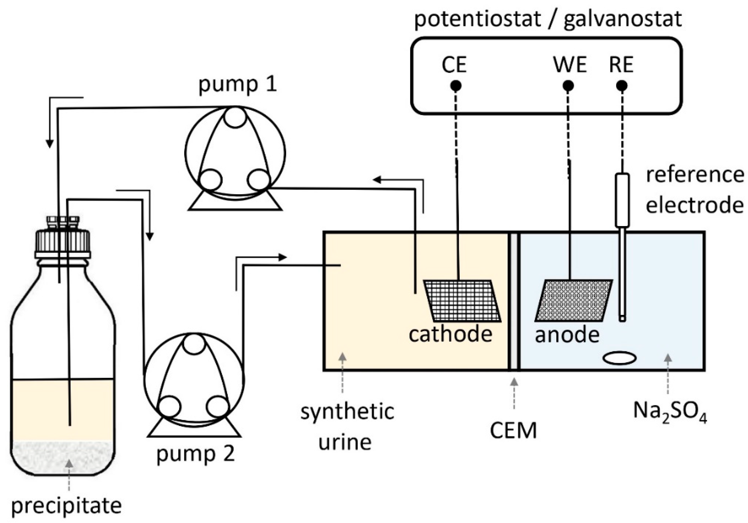 Membranes 13 00699 g001 Membranes 13 00699 g001