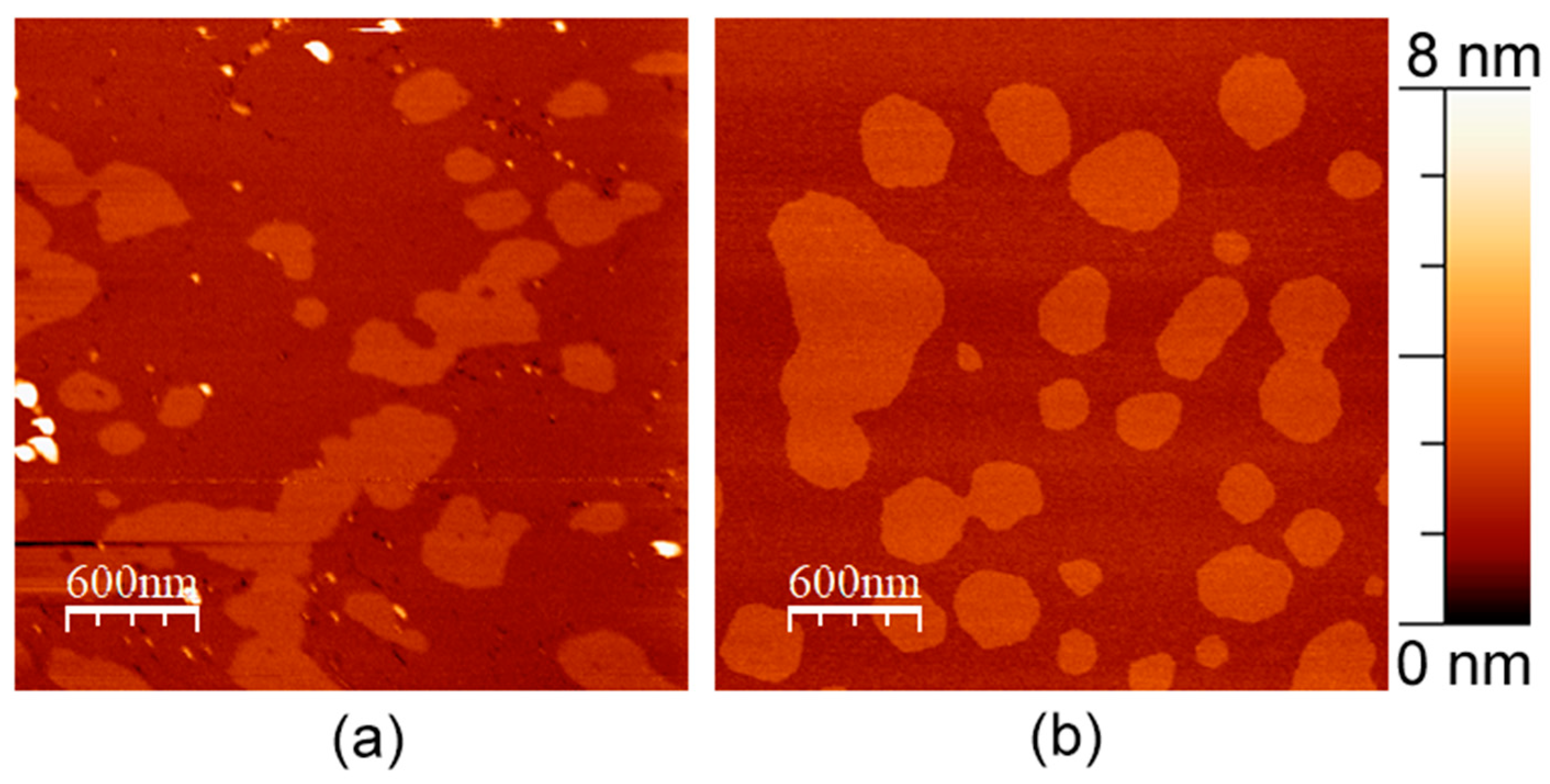Membranes 13 00706 g001