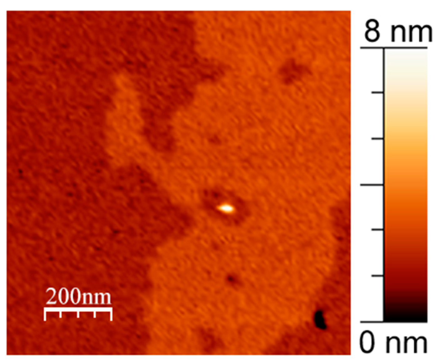 Membranes 13 00706 g002