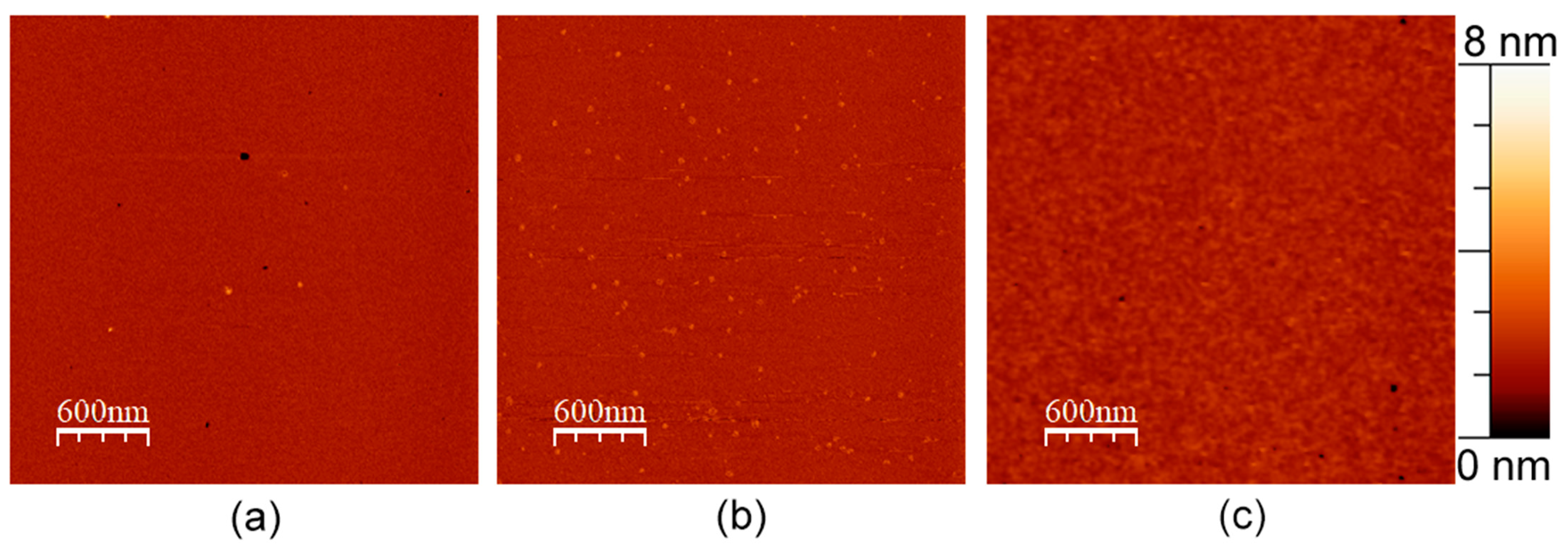 Membranes 13 00706 g004
