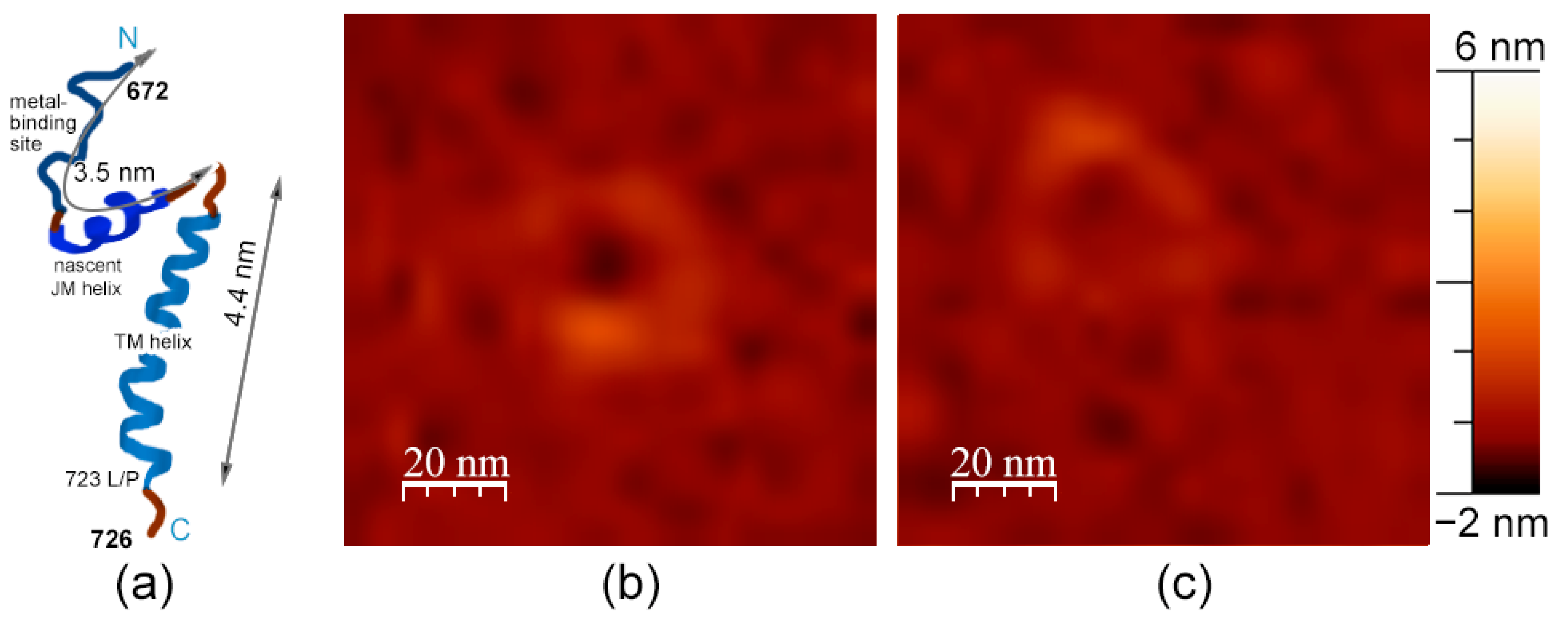 Membranes 13 00706 g005