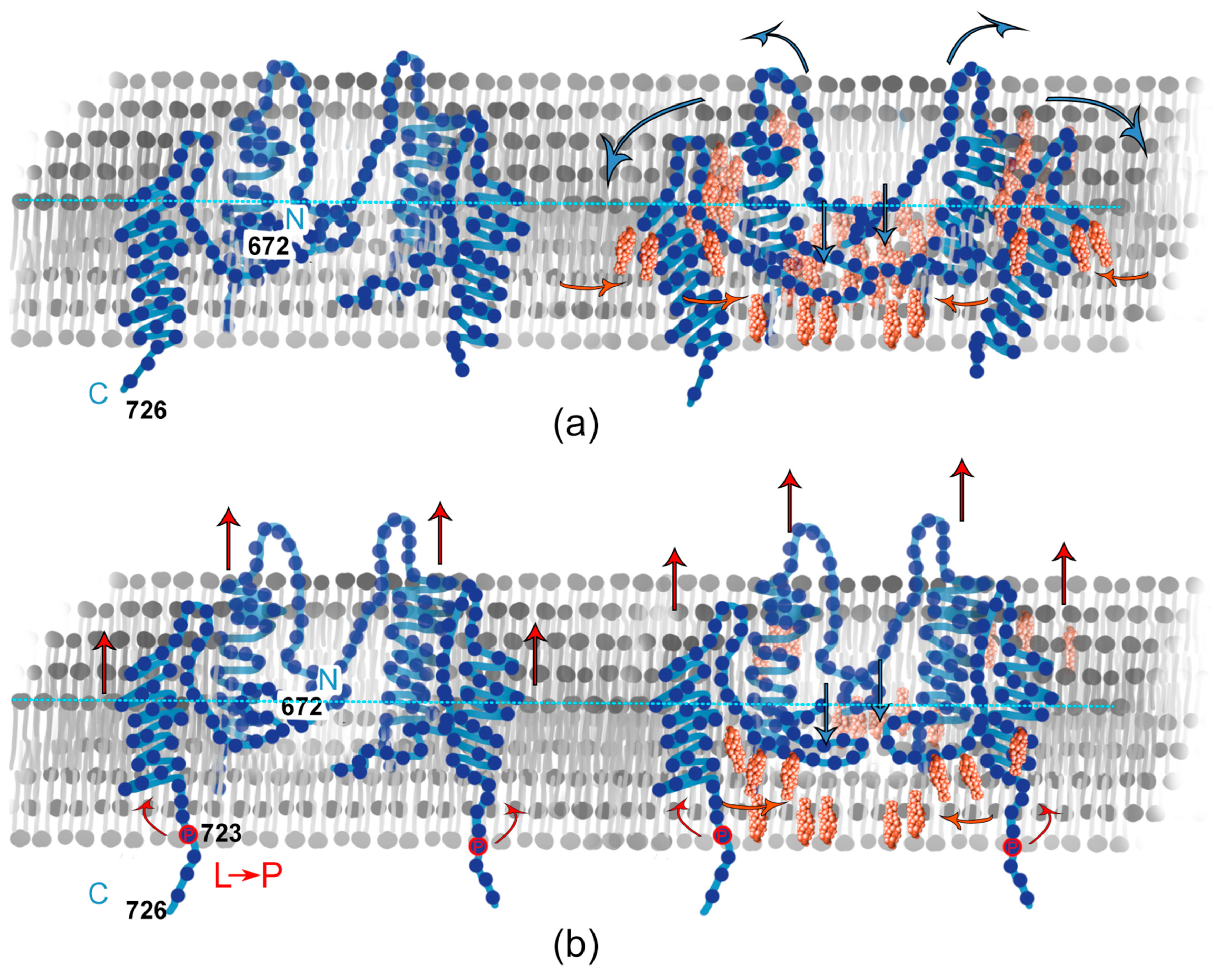 Membranes 13 00706 g006
