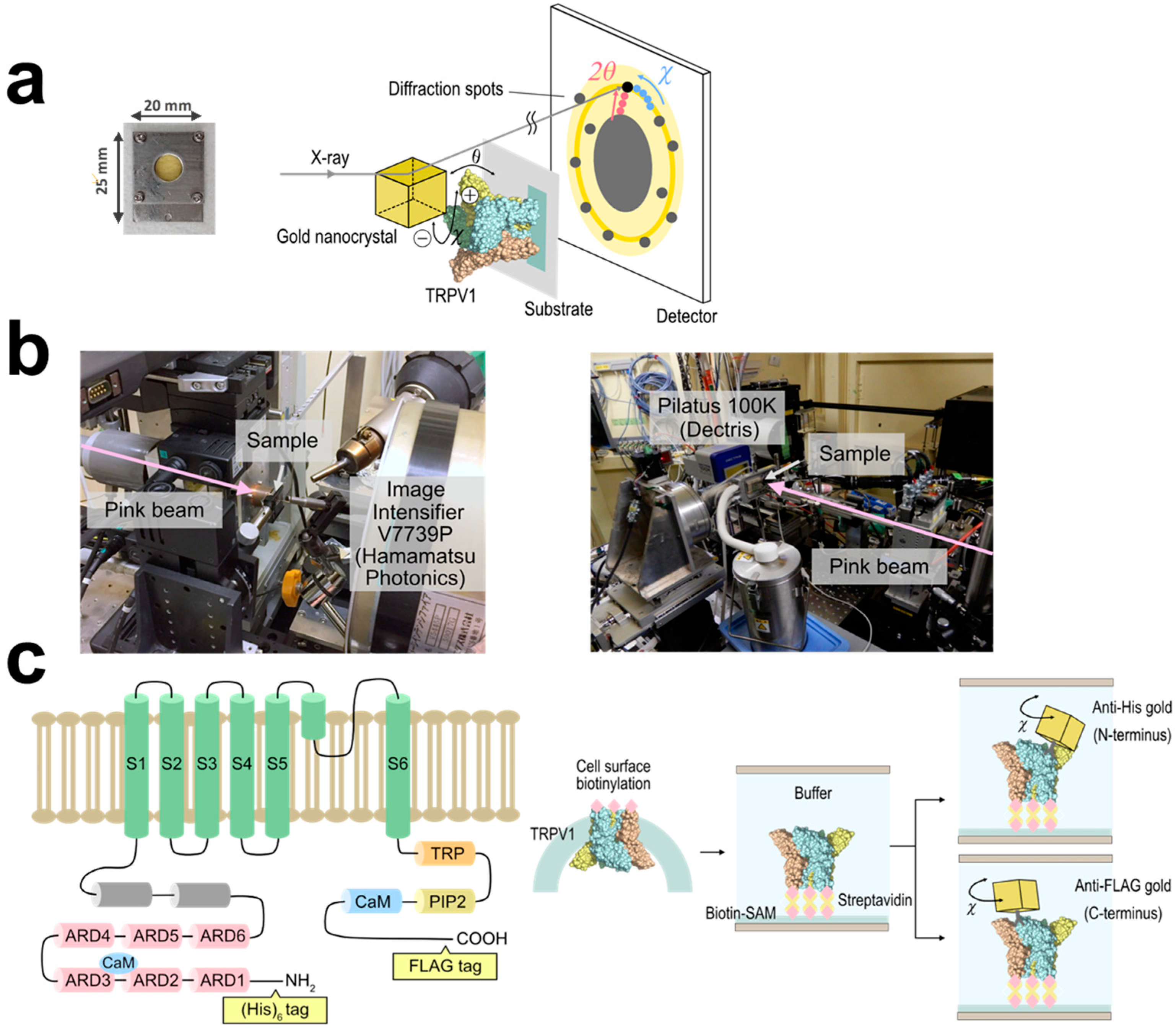 Membranes 13 00708 g001