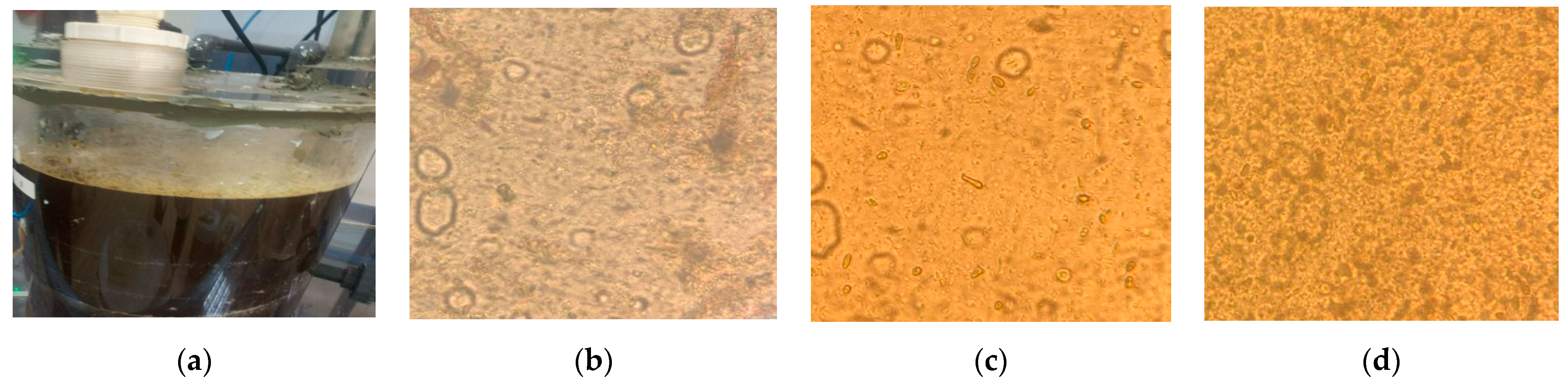 Membranes 13 00710 g006 Membranes 13 00710 g006