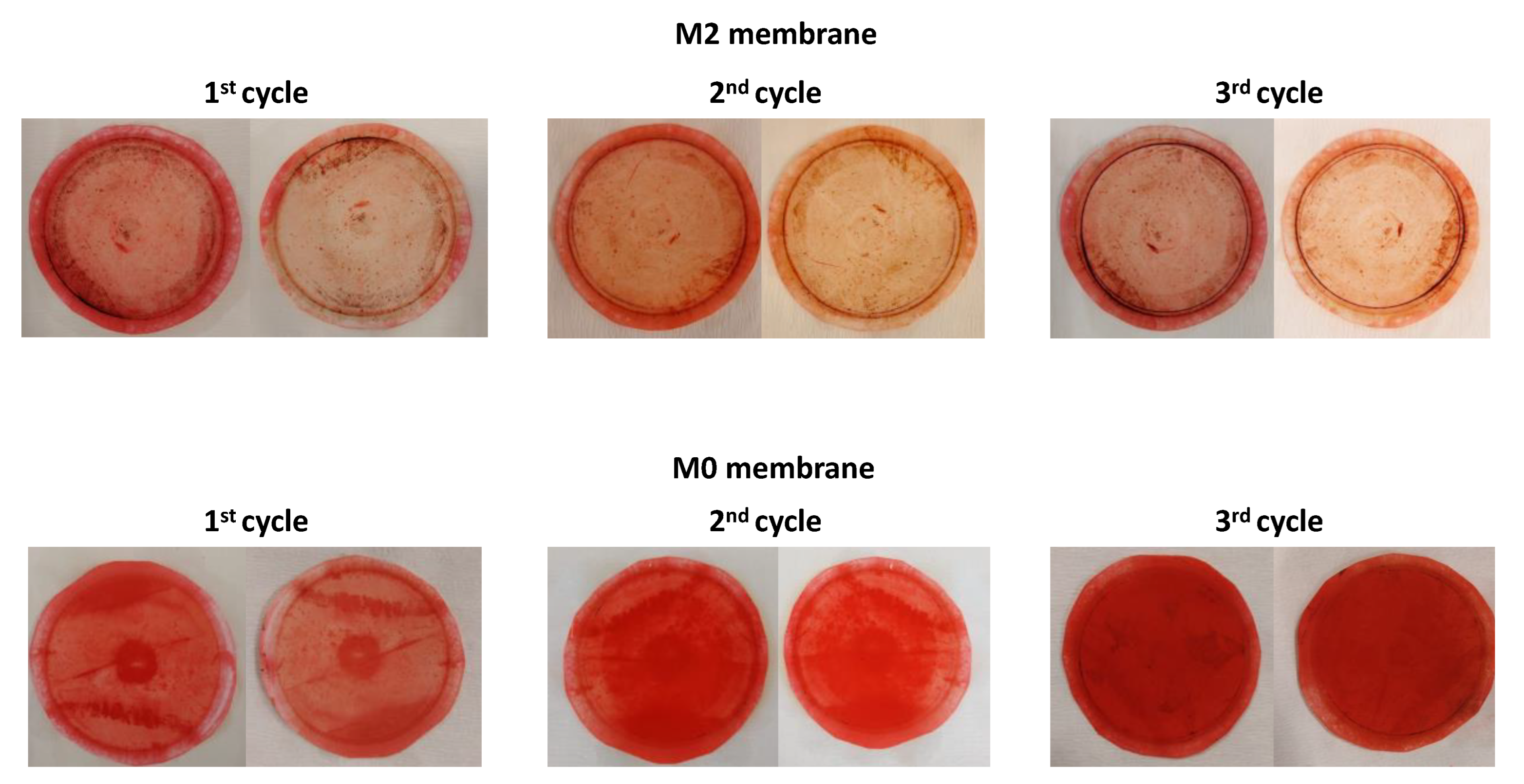 Membranes 13 00711 g009 Membranes 13 00711 g009