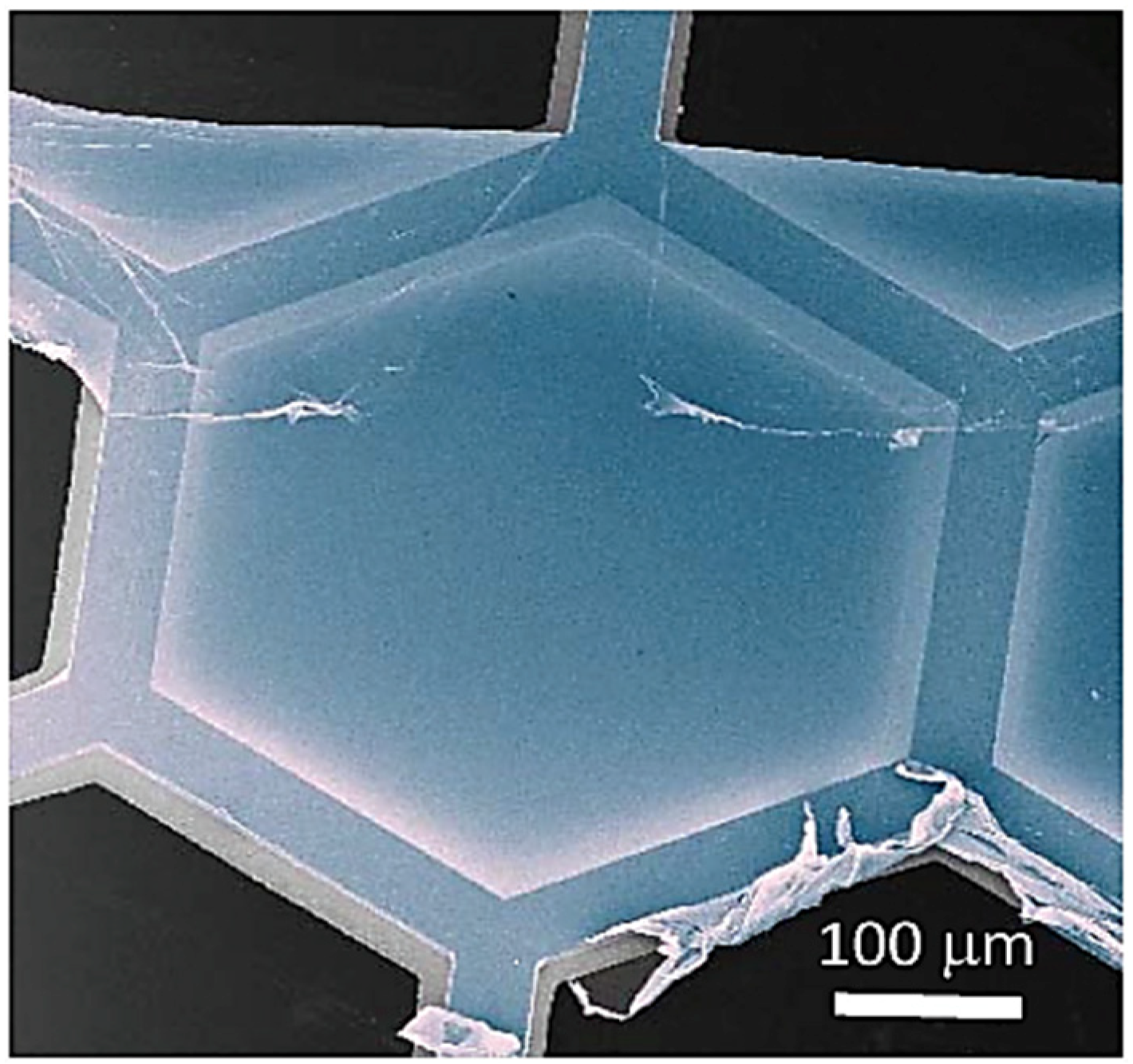 Membranes 13 00713 g005 Membranes 13 00713 g005