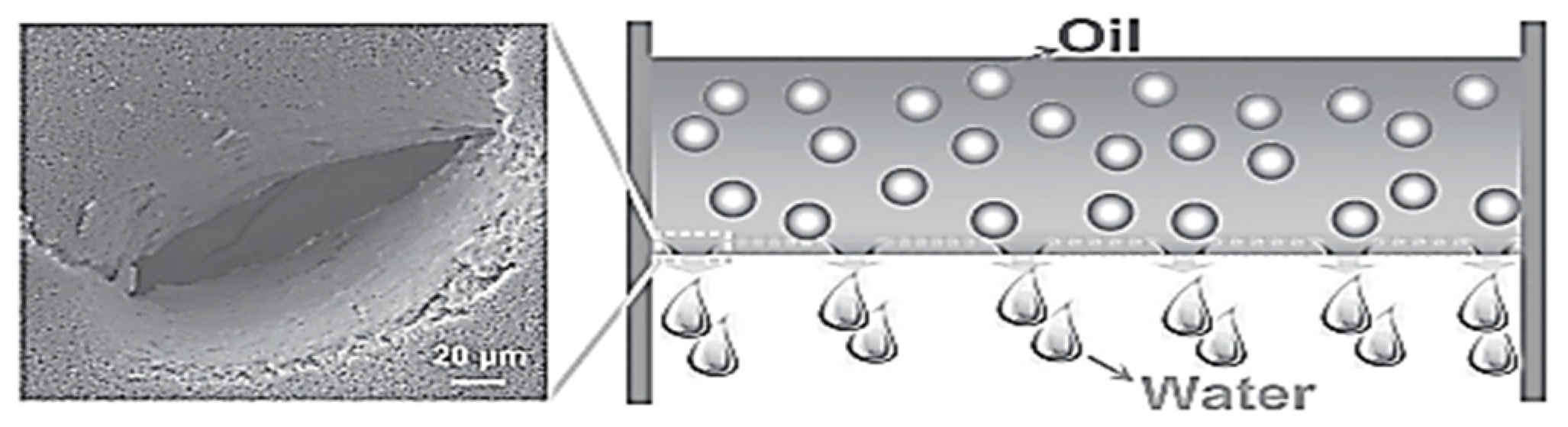 Membranes 13 00713 g010 Membranes 13 00713 g010