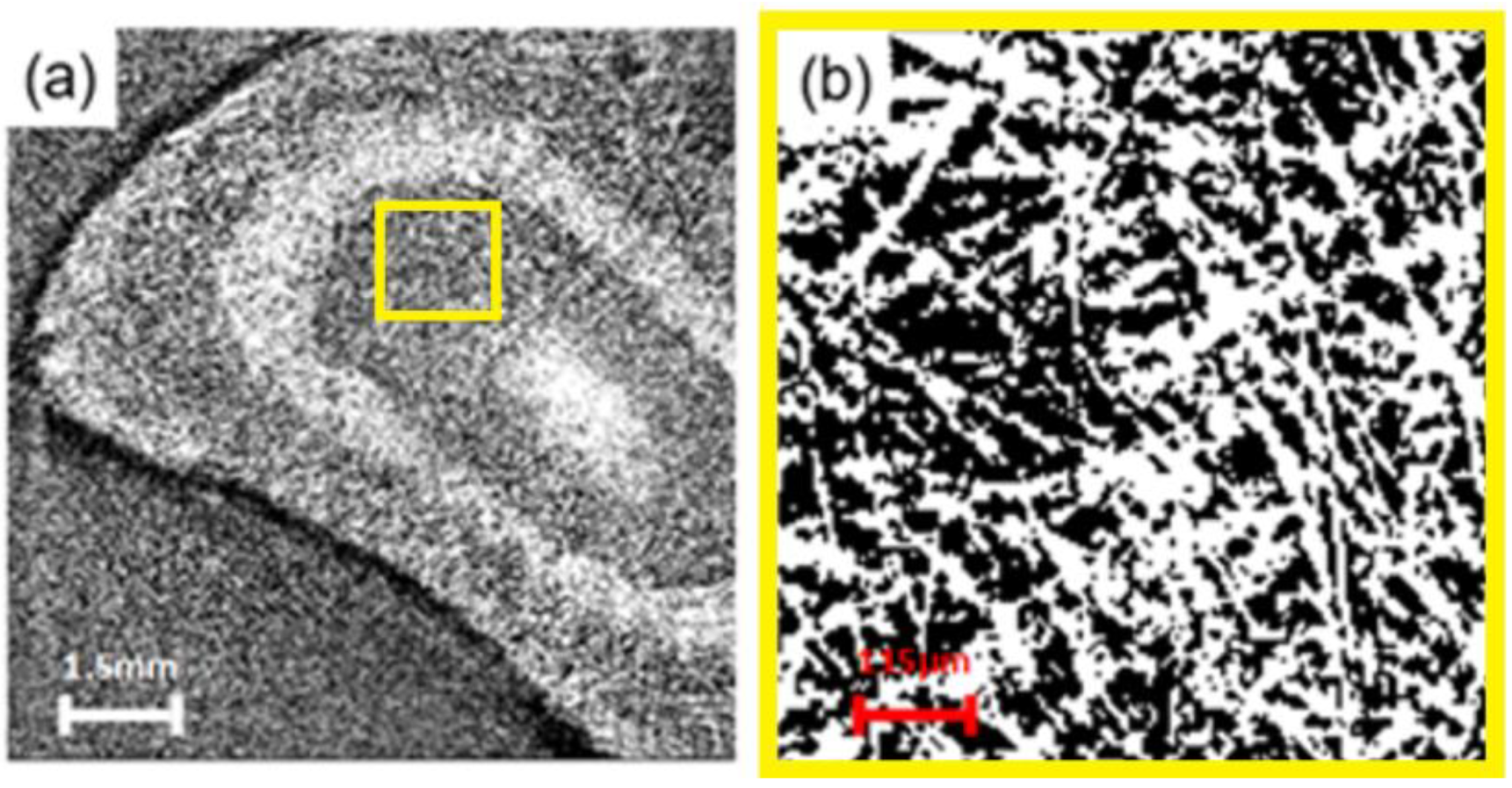 Membranes 13 00718 g003 Membranes 13 00718 g003