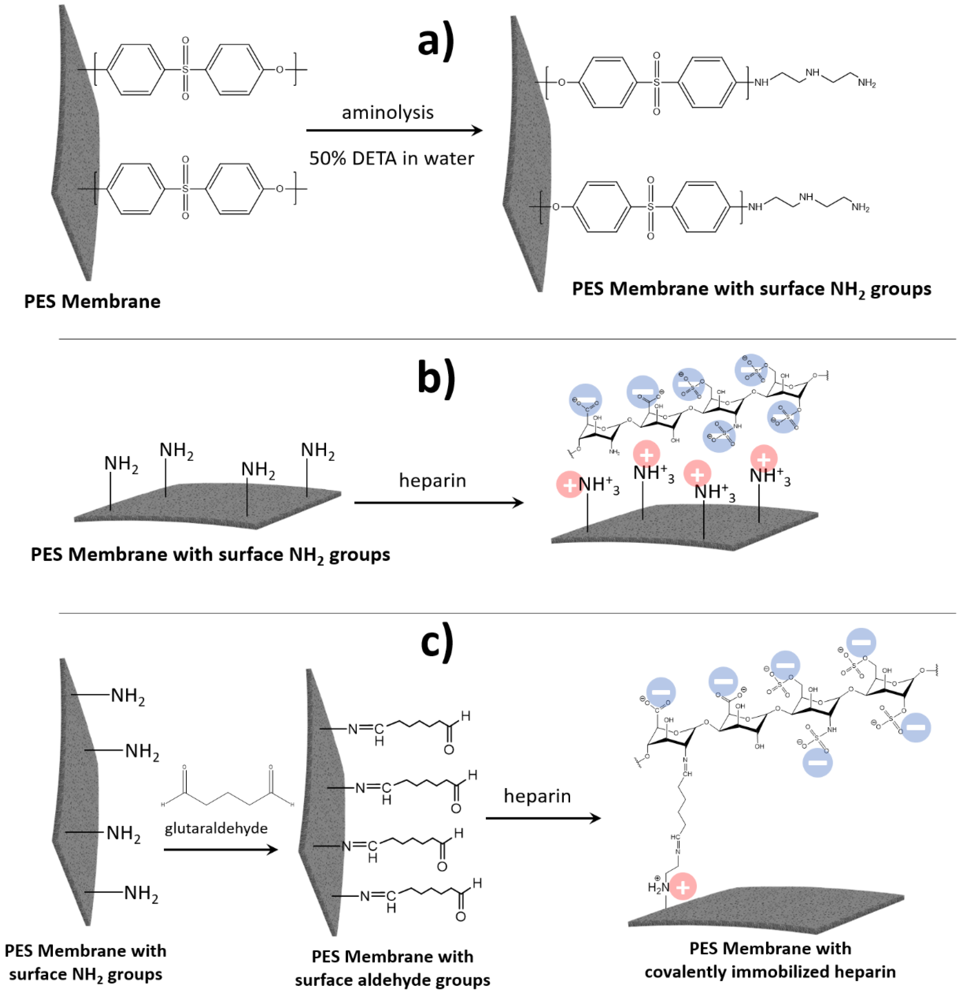 Membranes 13 00718 g005 Membranes 13 00718 g005