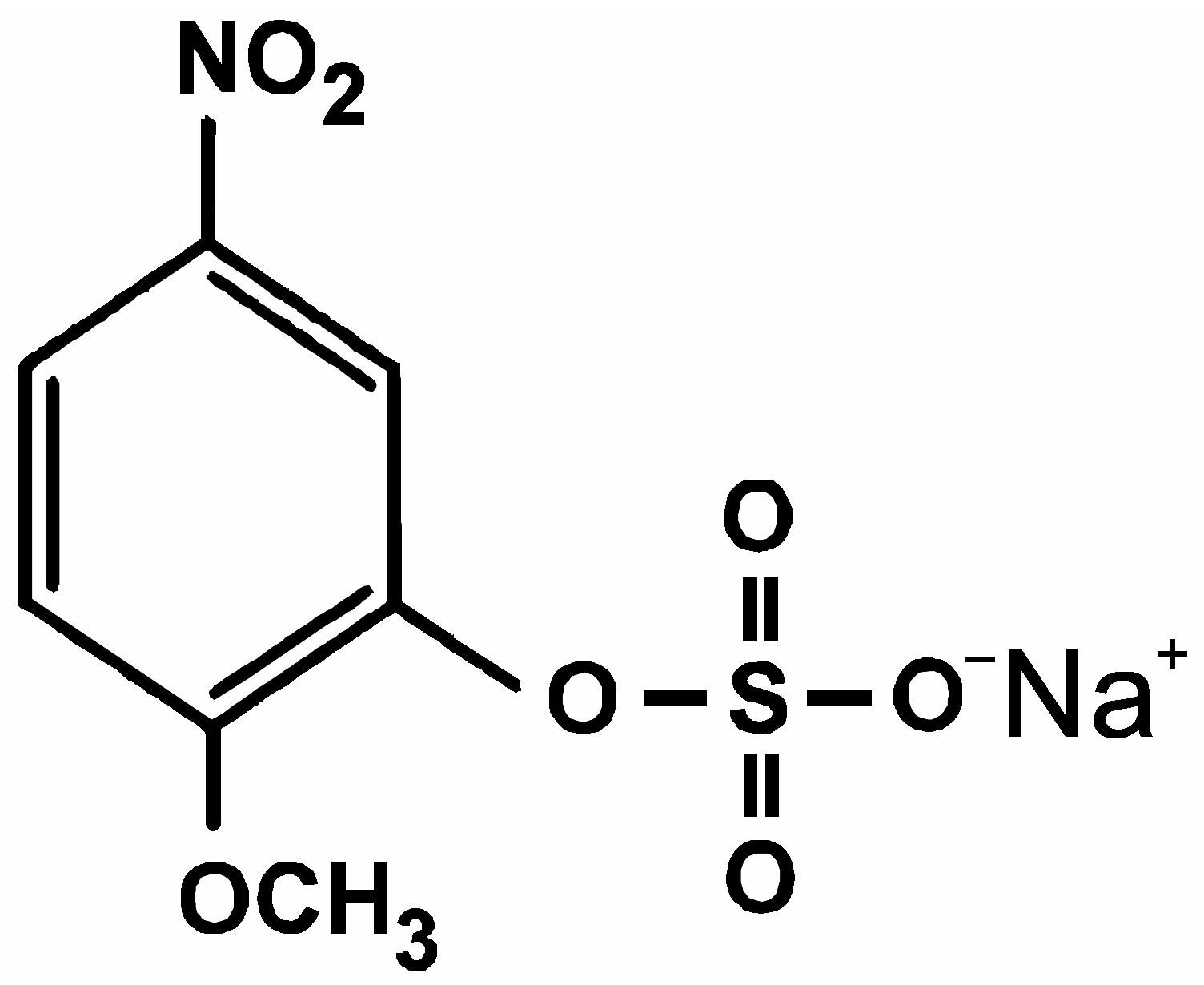Membranes 13 00722 g001