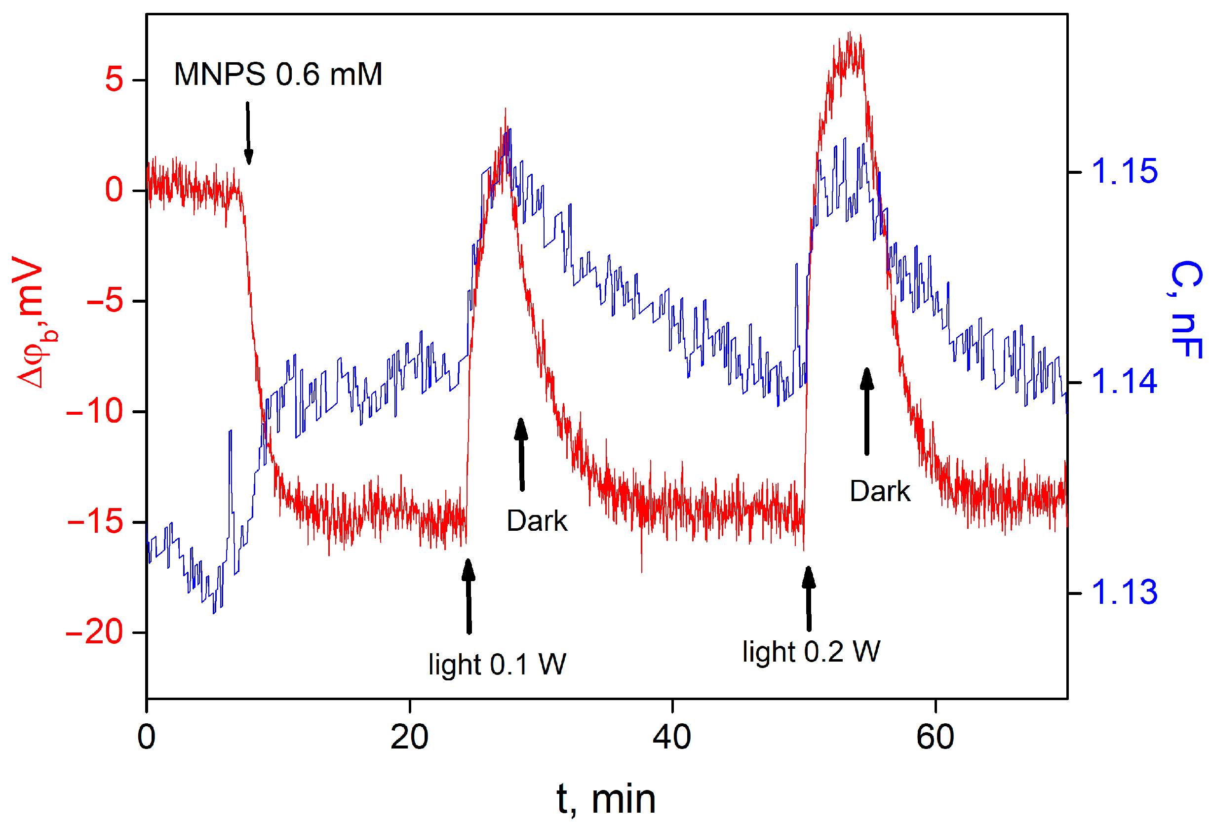 Membranes 13 00722 g002
