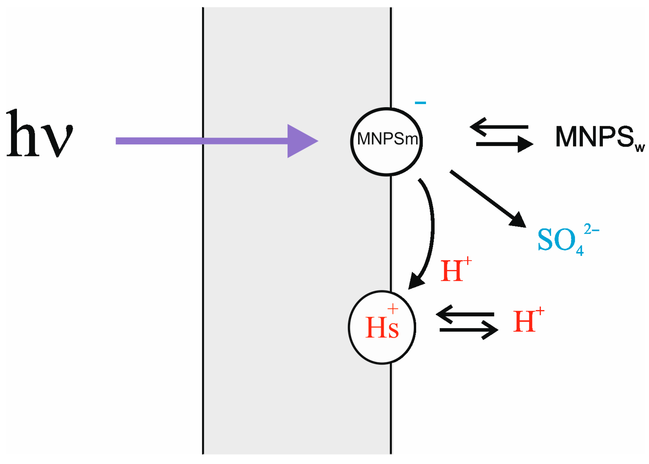 Membranes 13 00722 g003