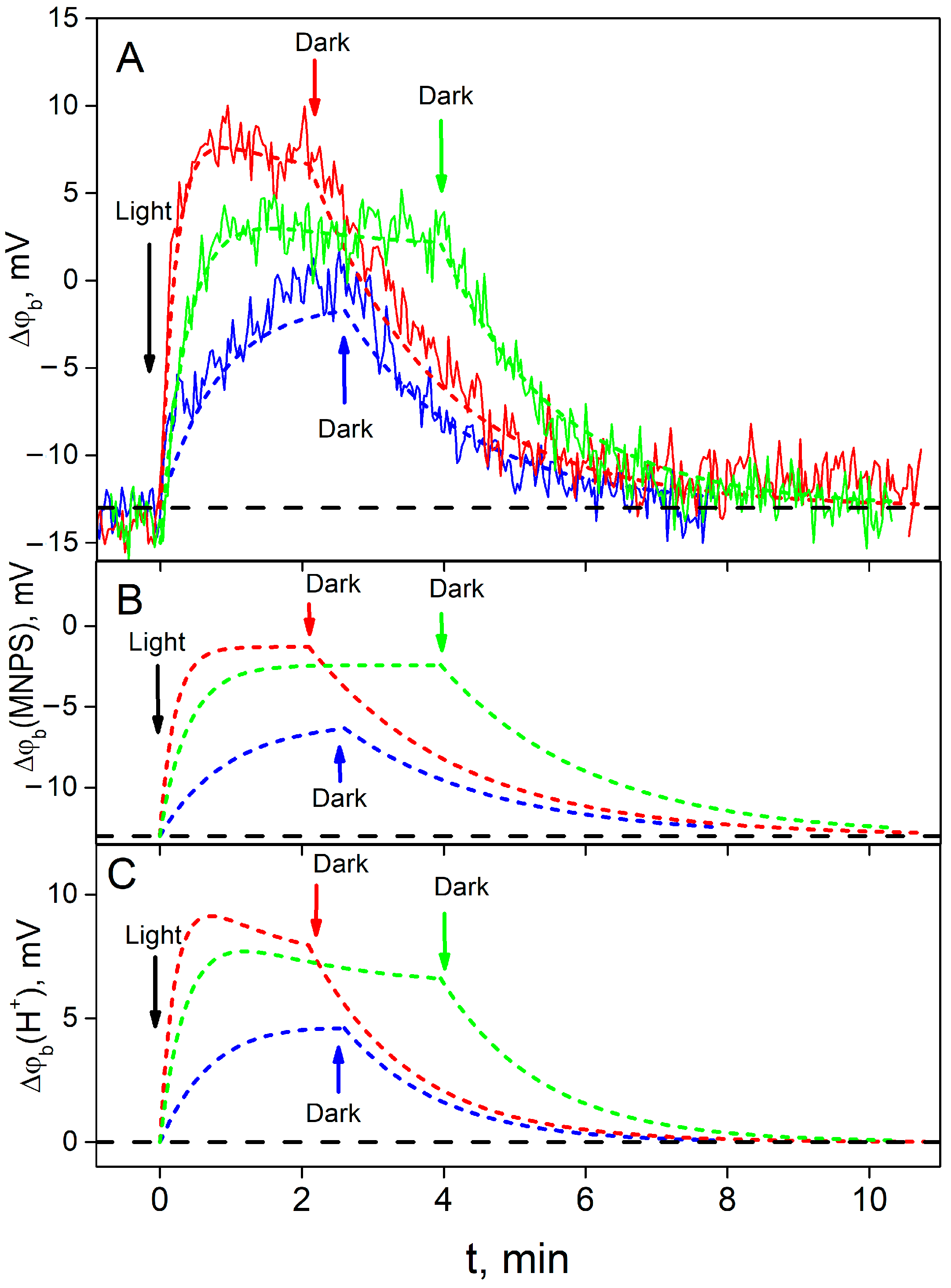 Membranes 13 00722 g004
