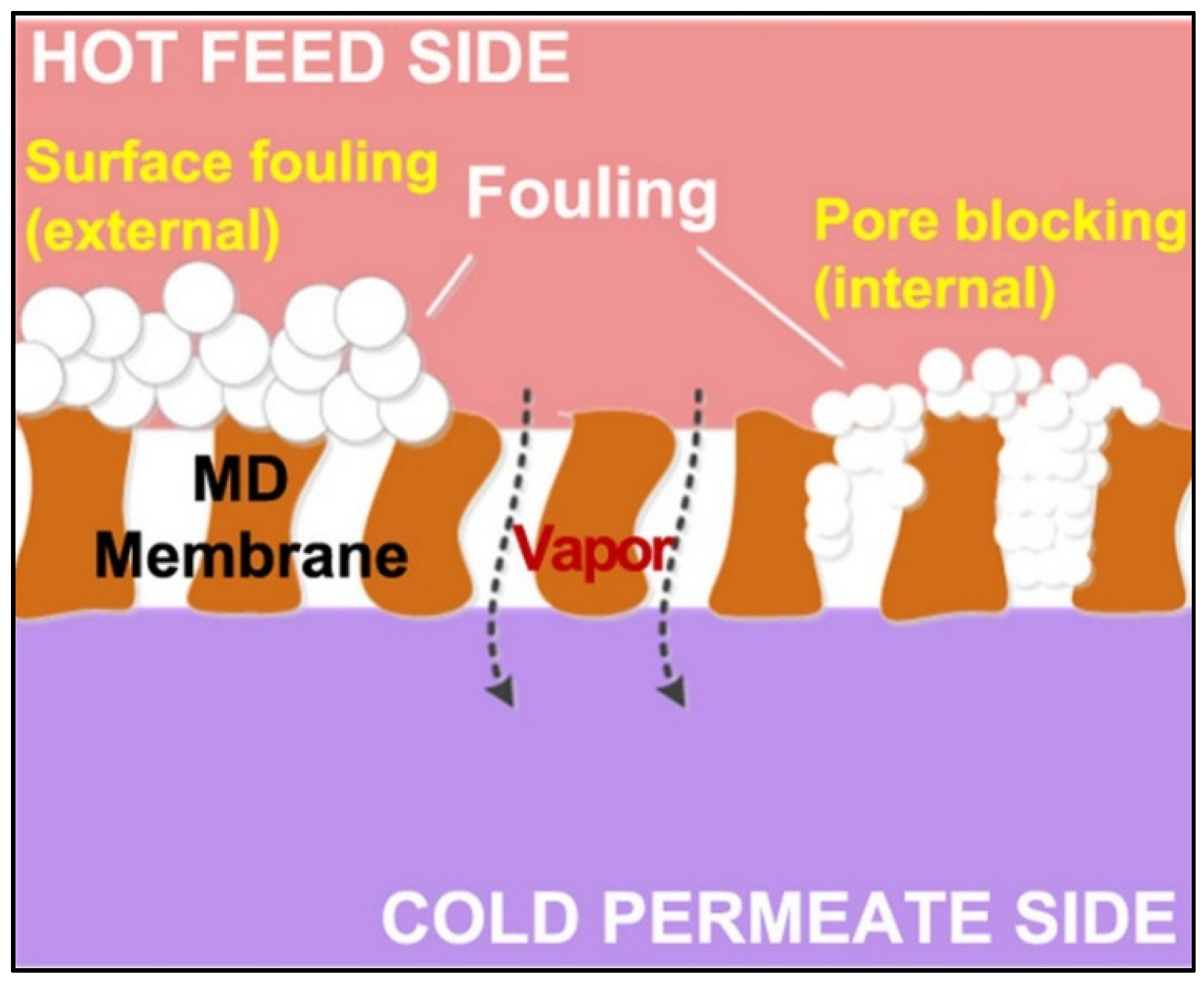 Membranes 13 00727 g001 Membranes 13 00727 g001