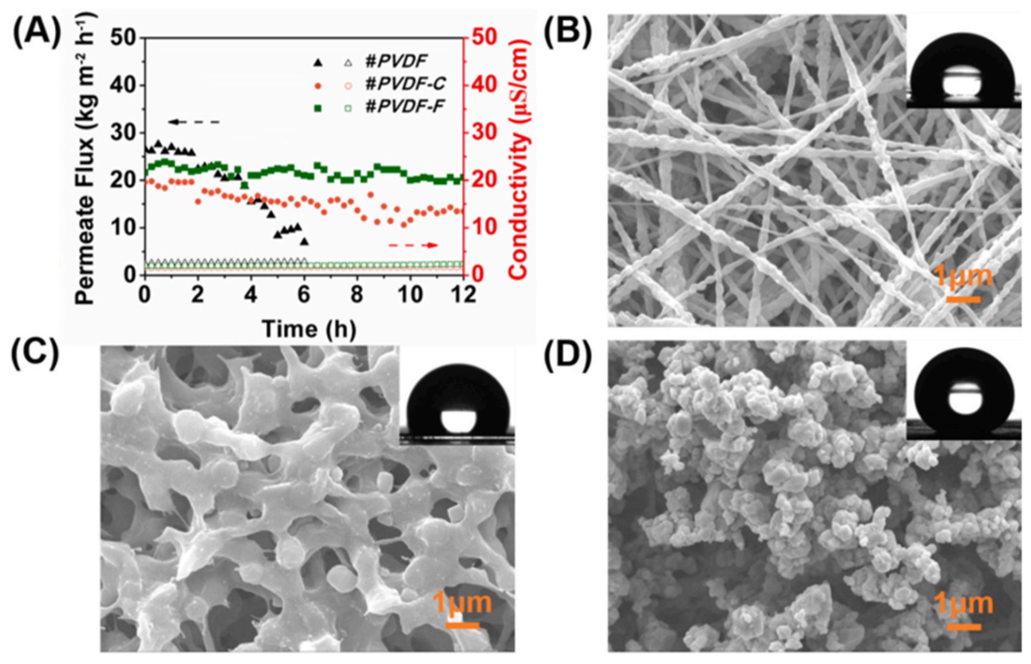 Membranes 13 00727 g002 Membranes 13 00727 g002