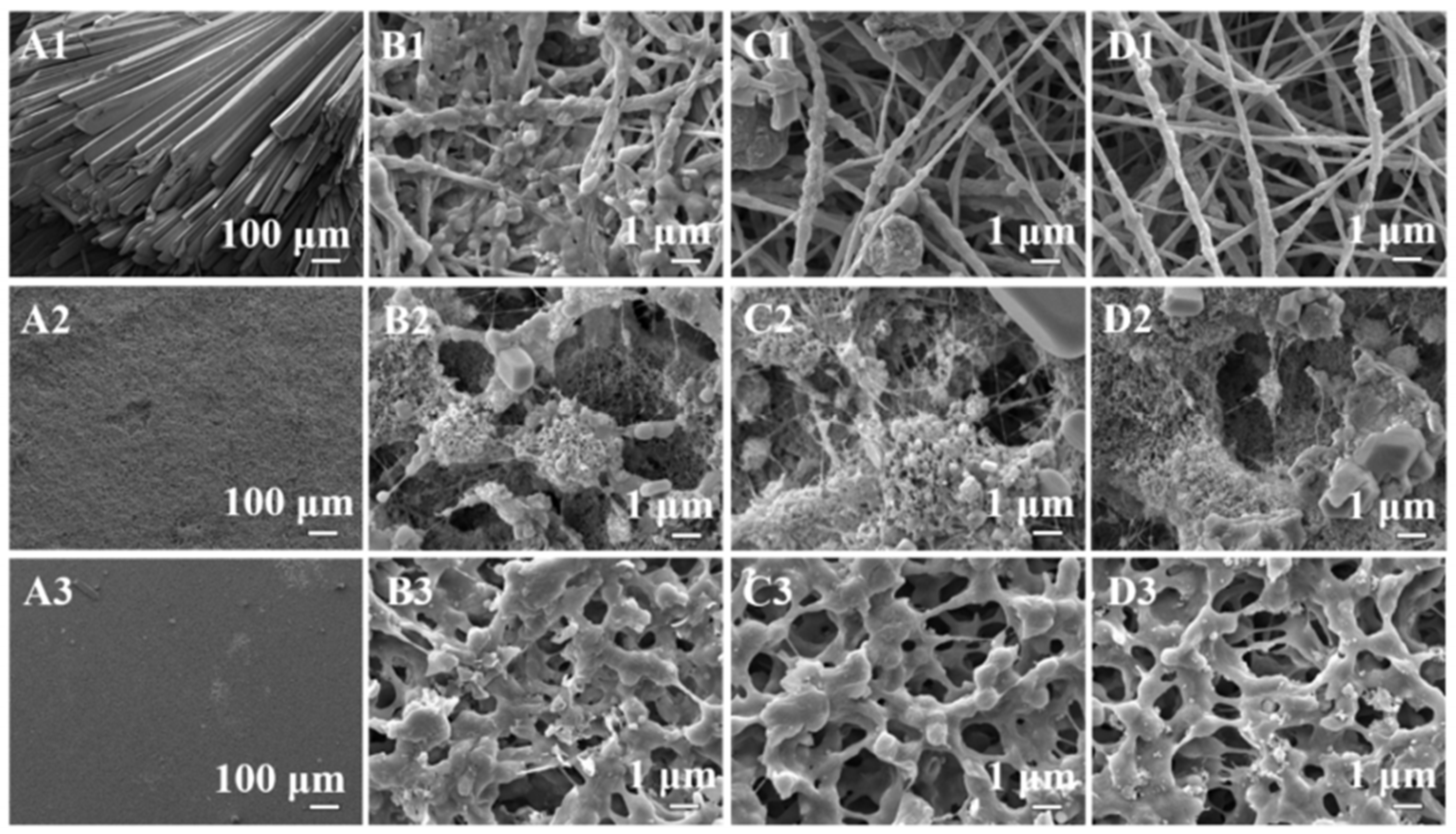 Membranes 13 00727 g004 Membranes 13 00727 g004