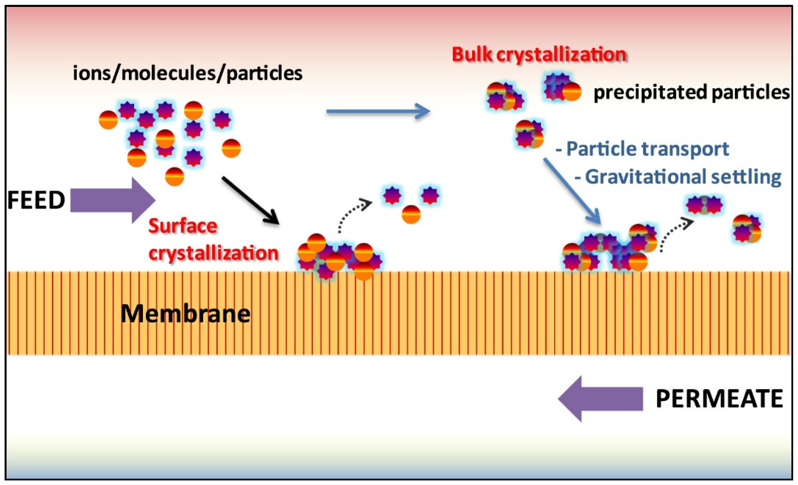 Membranes 13 00727 g005 Membranes 13 00727 g005
