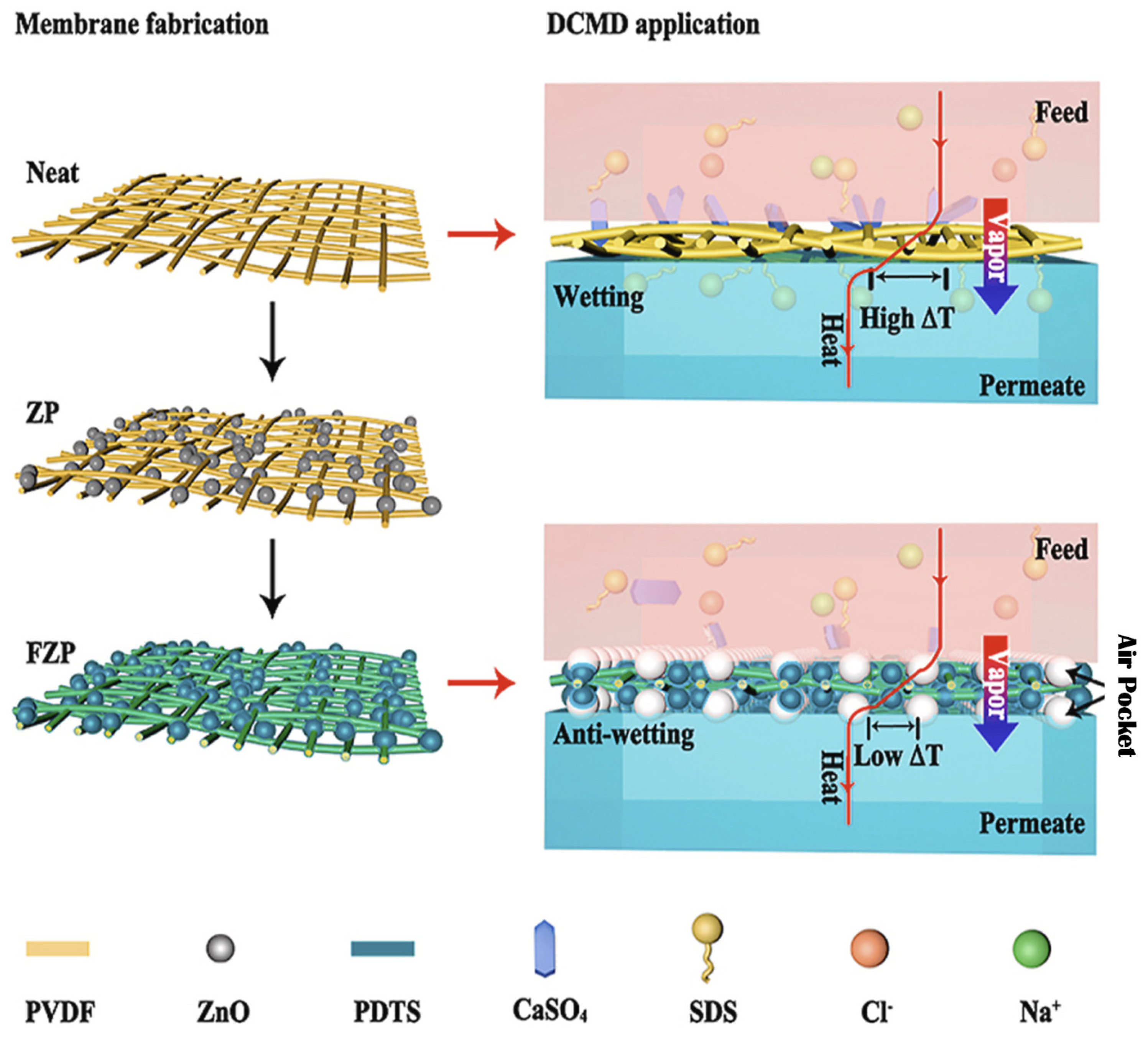 Membranes 13 00727 g006 Membranes 13 00727 g006