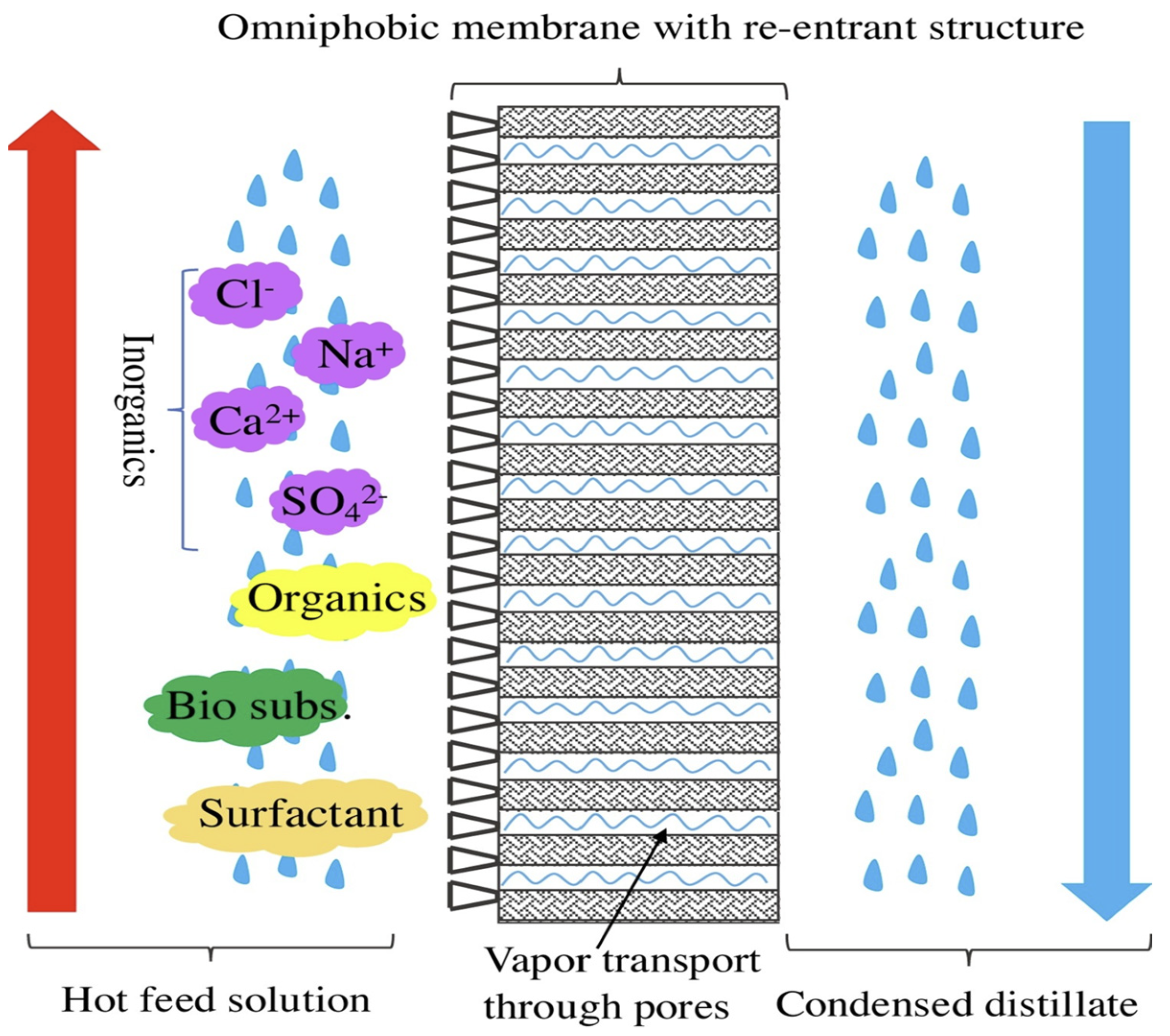 Membranes 13 00727 g007 Membranes 13 00727 g007