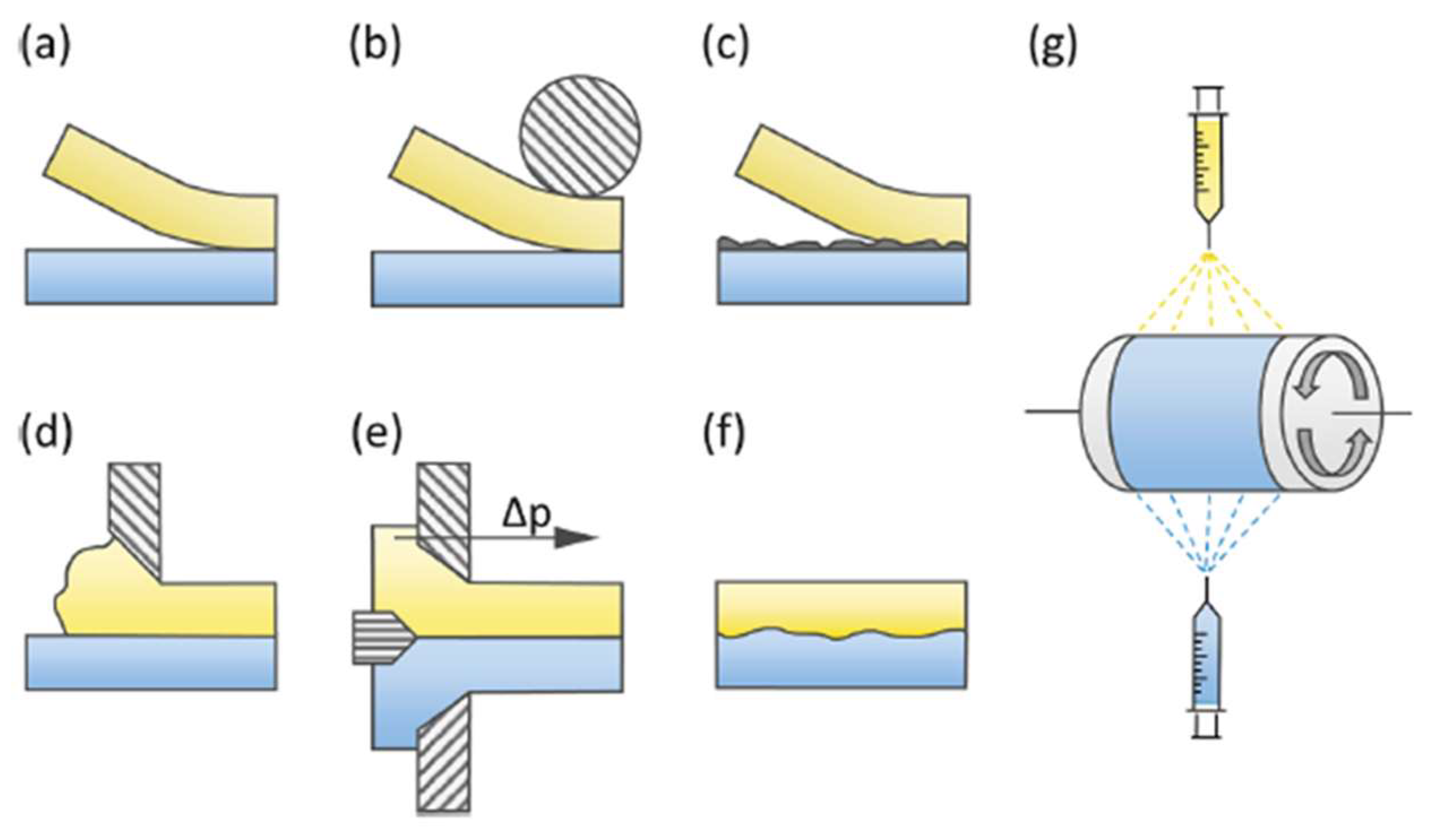 Membranes 13 00730 g004