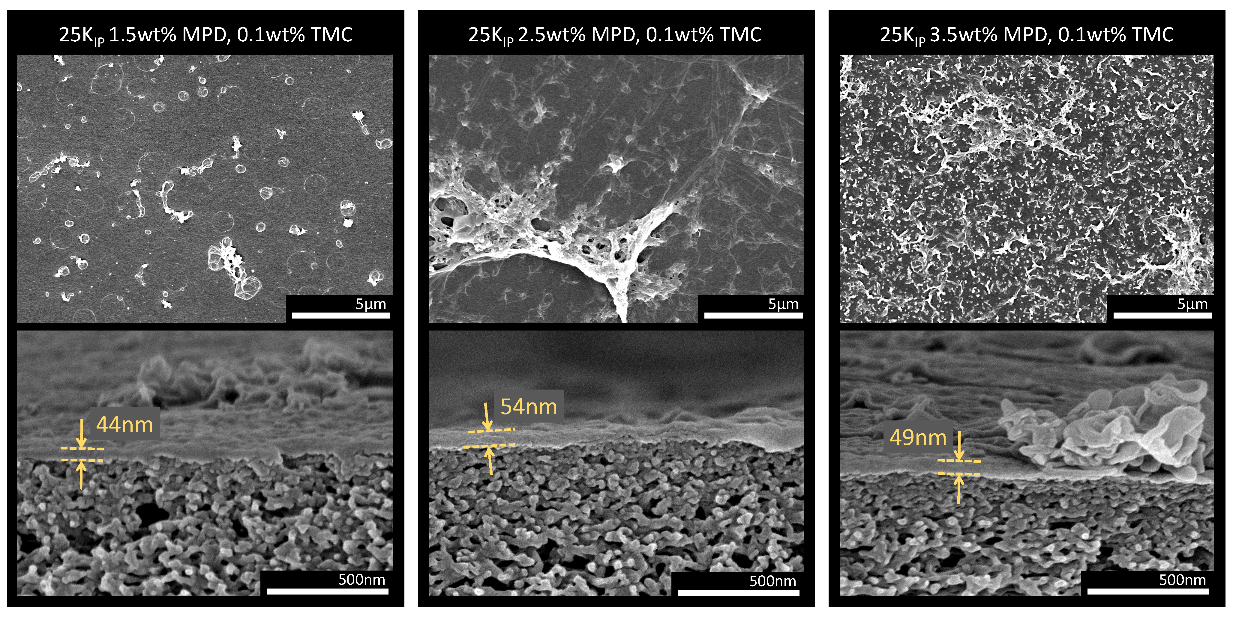 Membranes 13 00741 g007