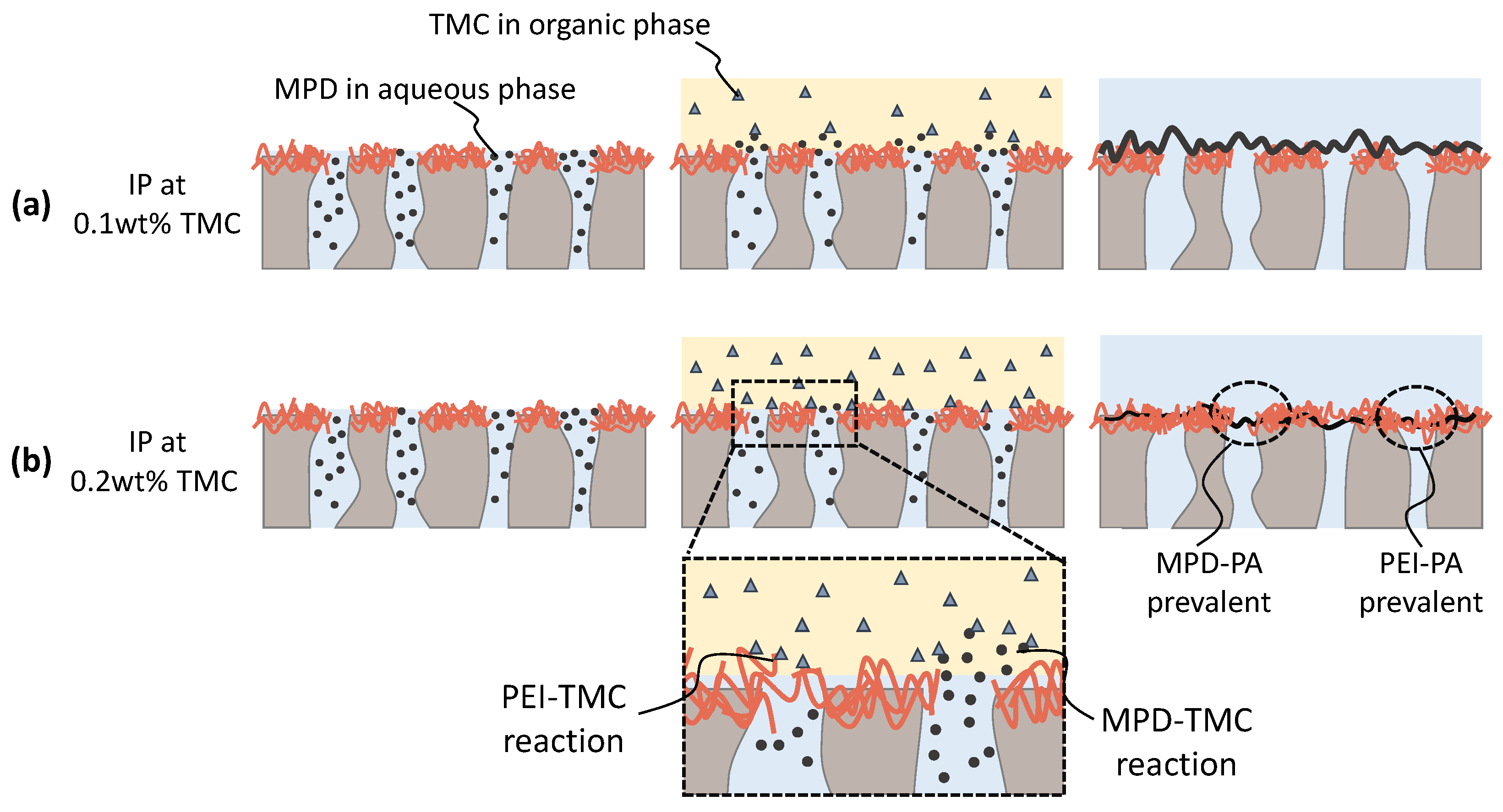 Membranes 13 00741 g008