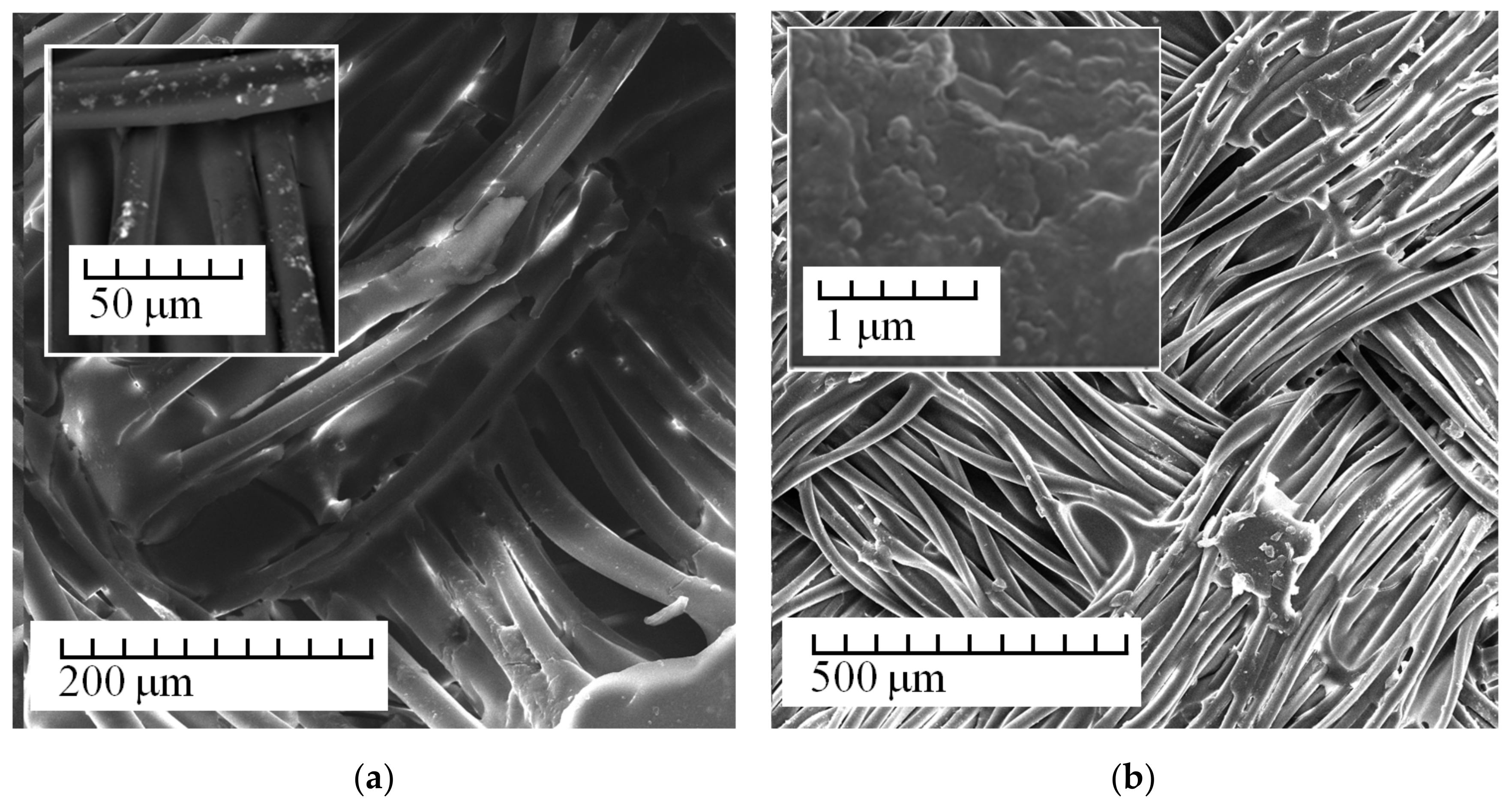 Membranes 13 00742 g005