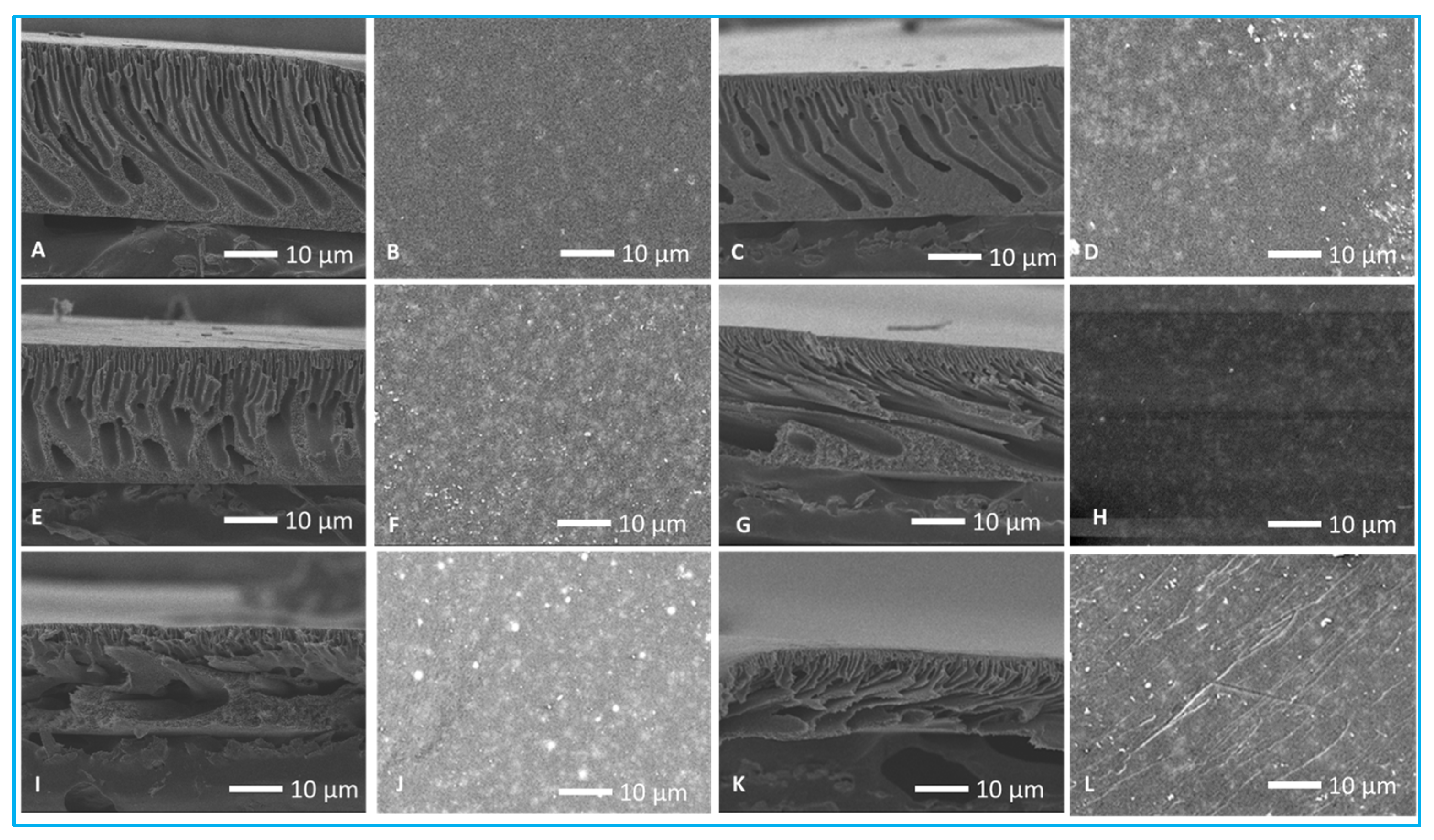 Membranes 13 00744 g003
