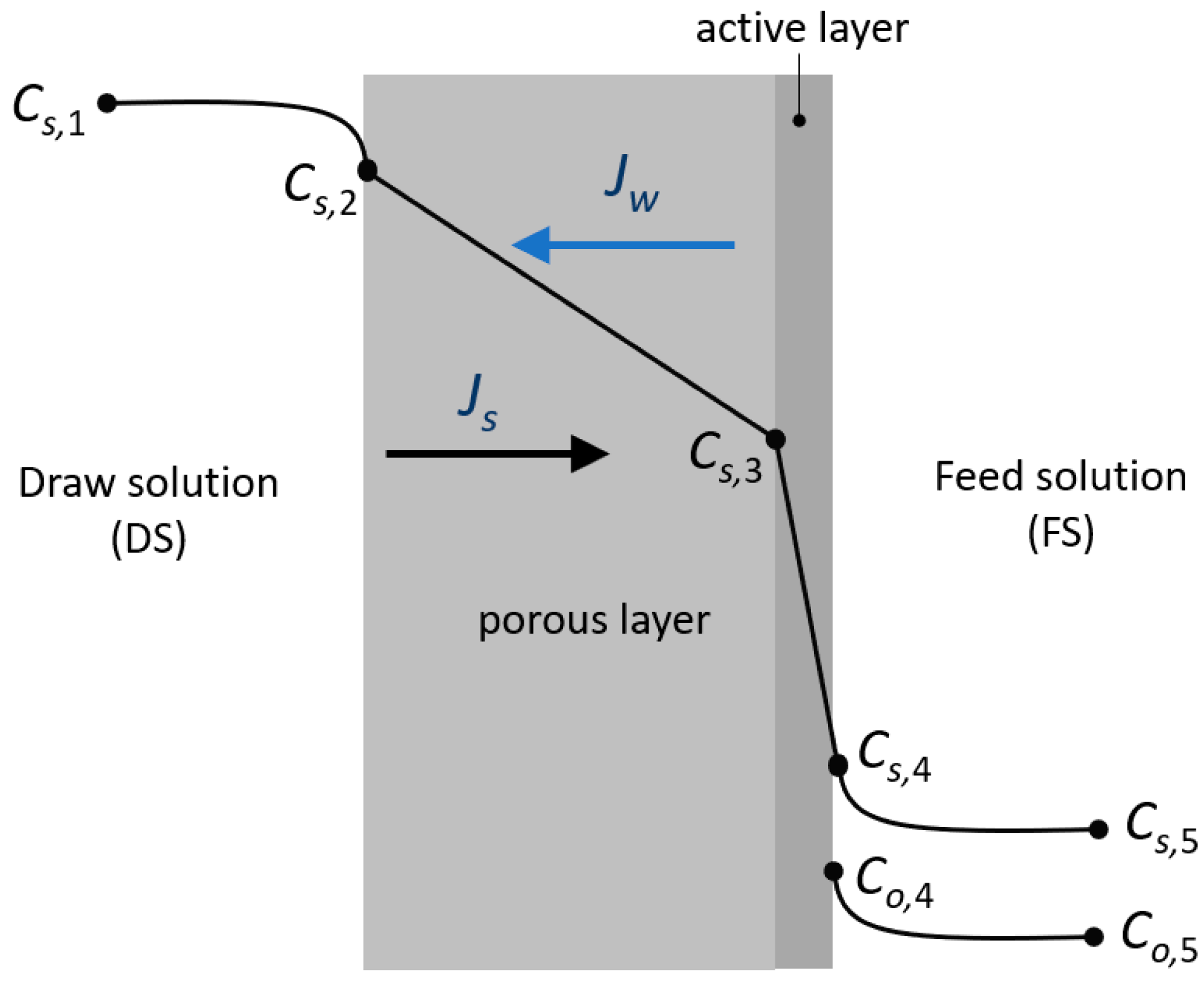 Membranes 13 00745 g001