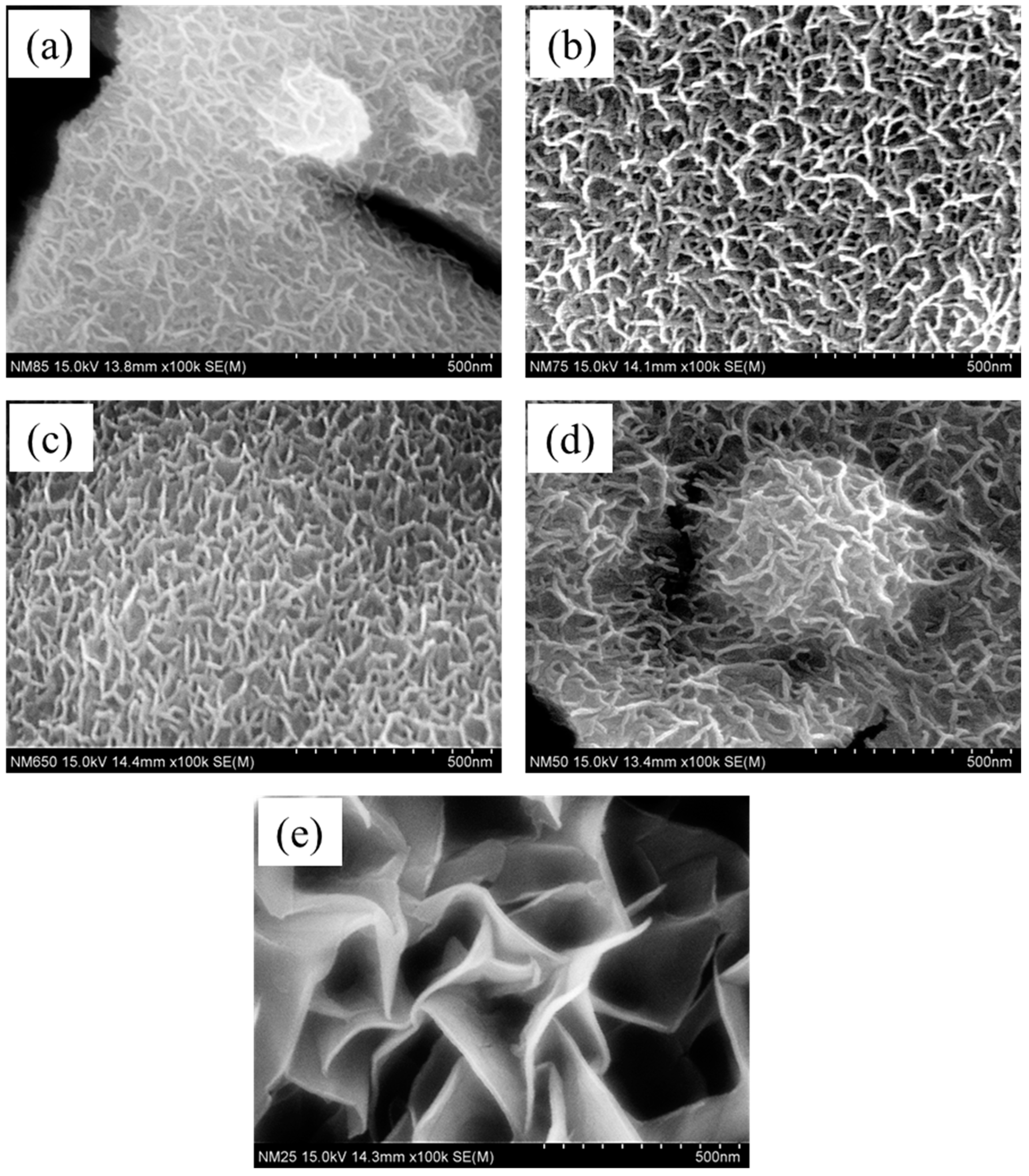 Membranes 13 00748 g002