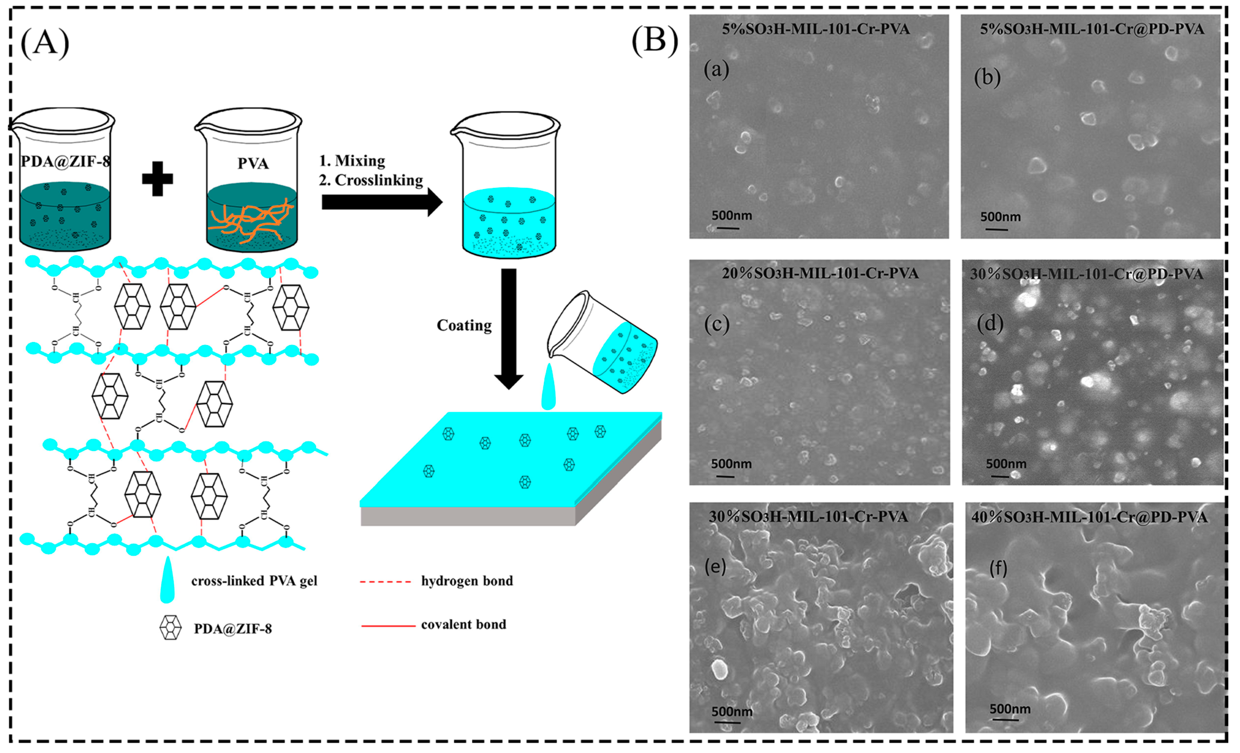Membranes 13 00755 g003