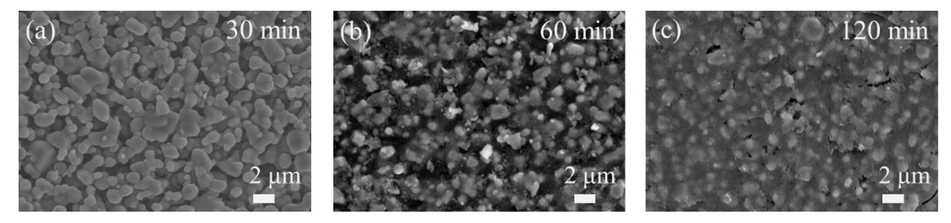 Membranes 13 00756 g007