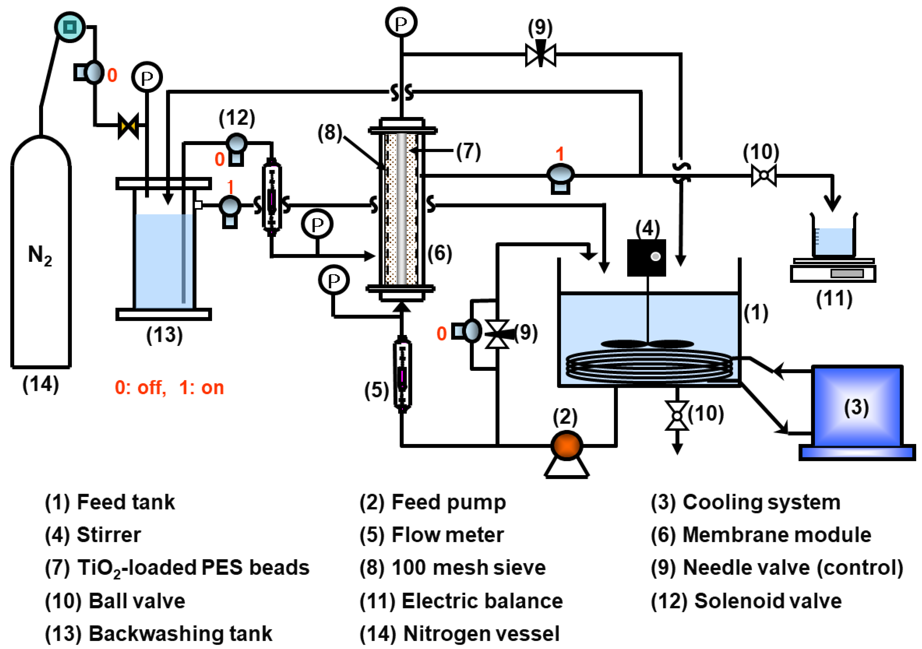 Membranes 13 00757 g001