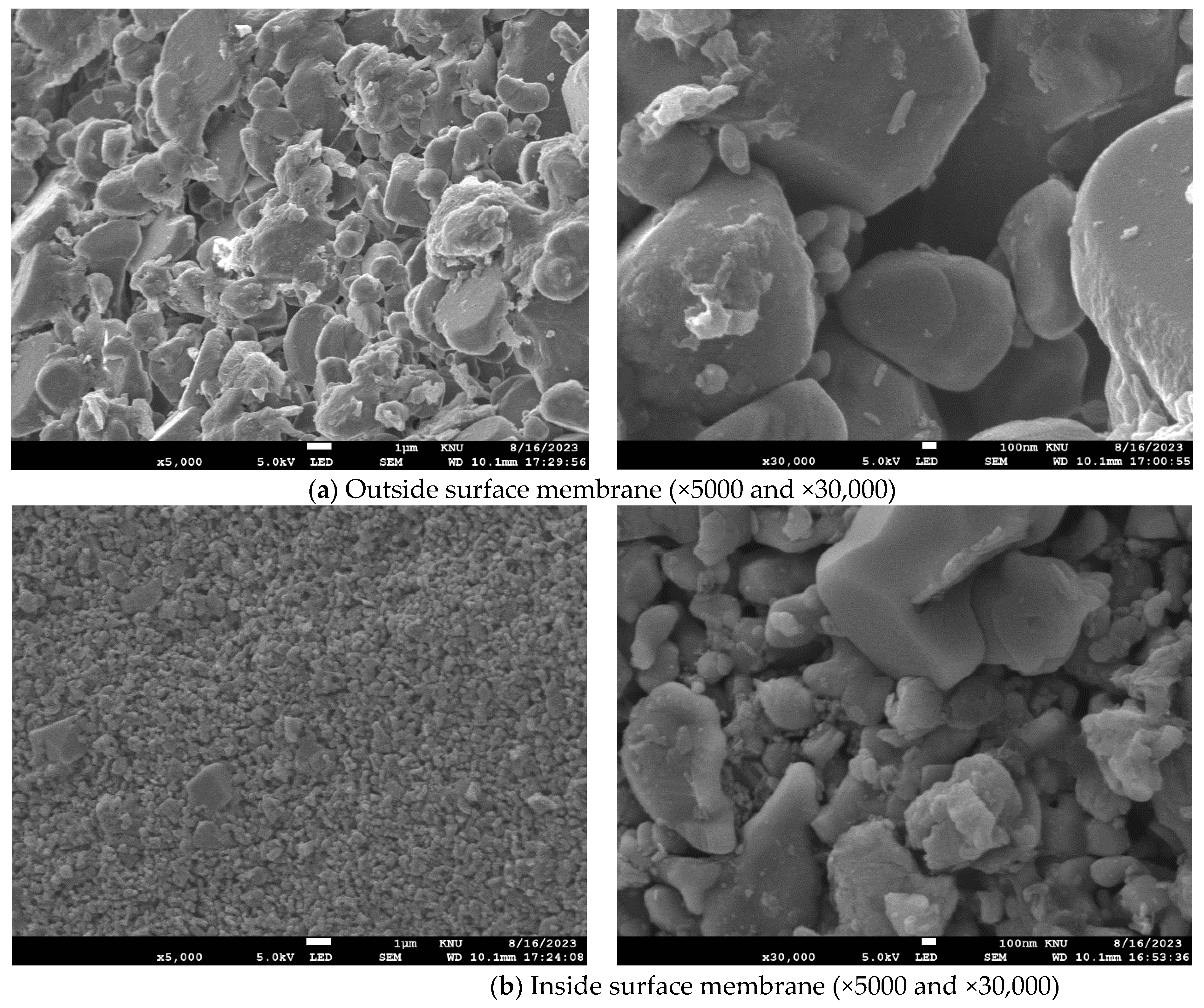 Membranes 13 00757 sch004