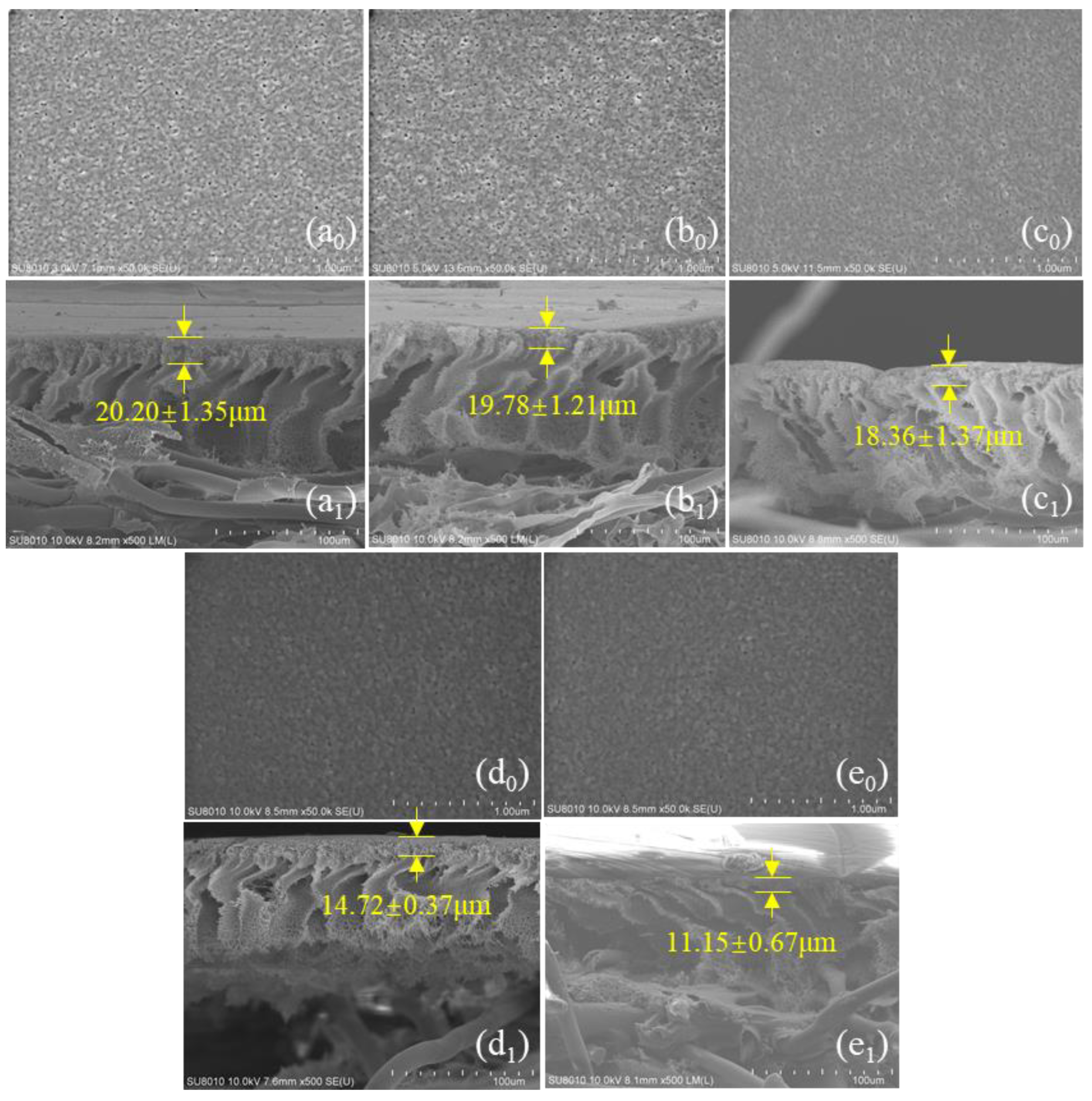 Membranes 13 00759 g002