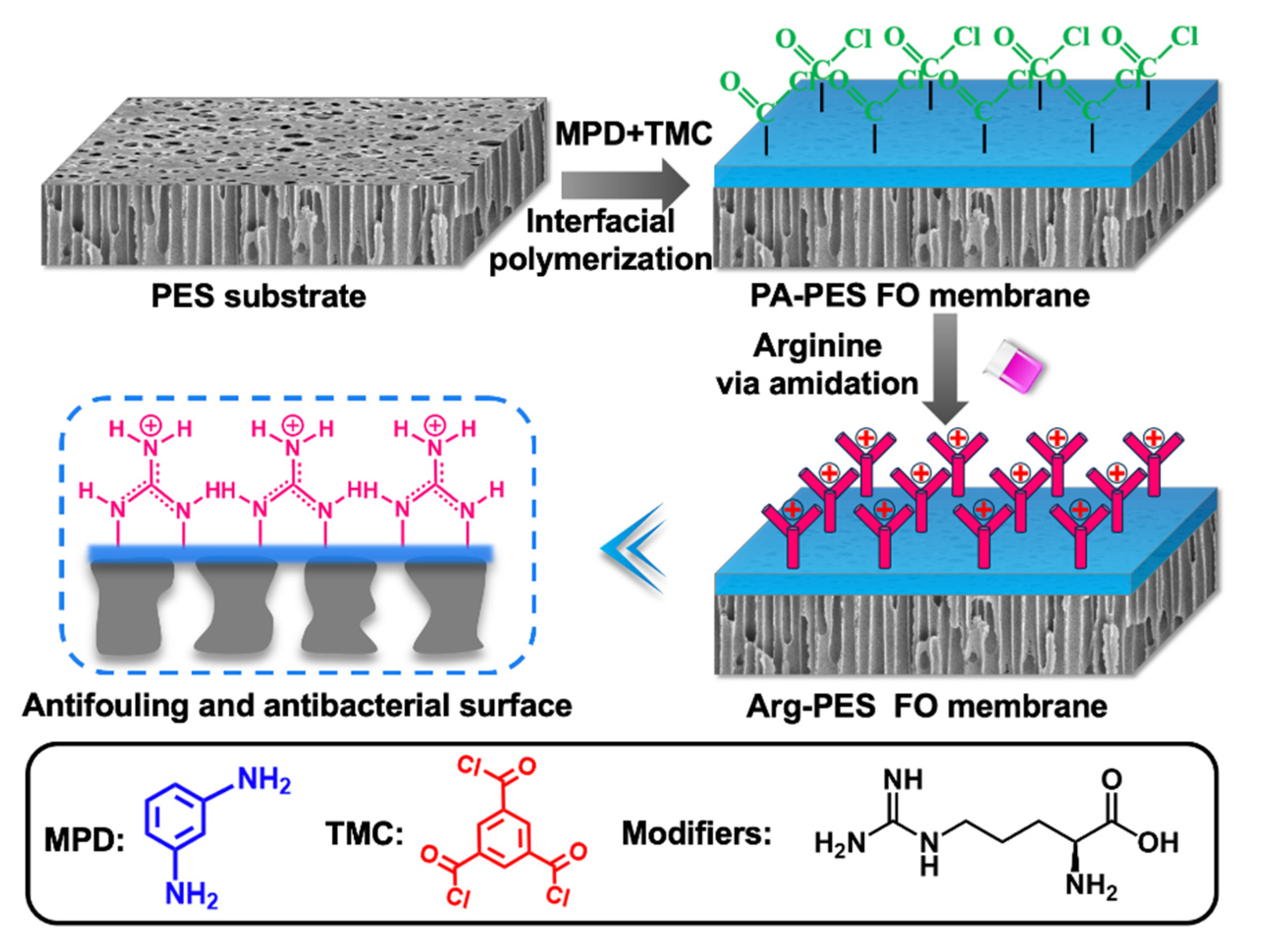 Membranes 13 00760 g002