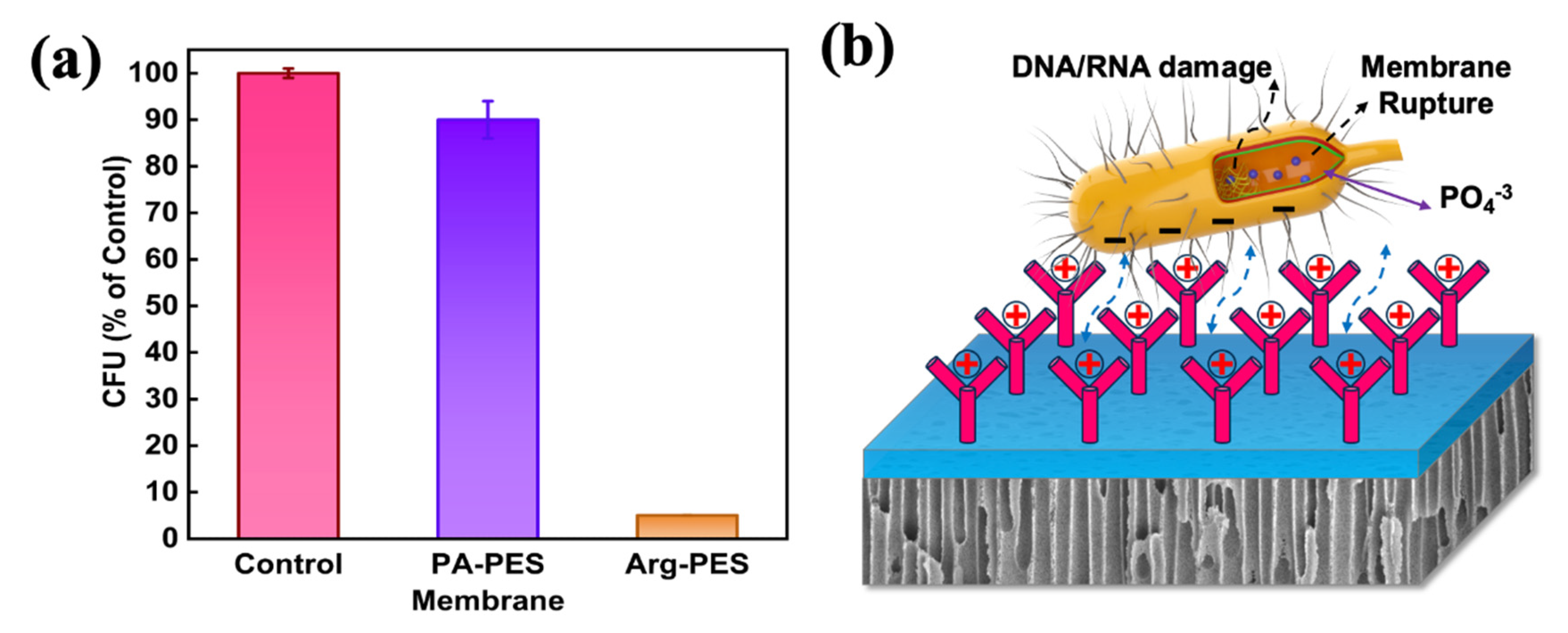 Membranes 13 00760 g008