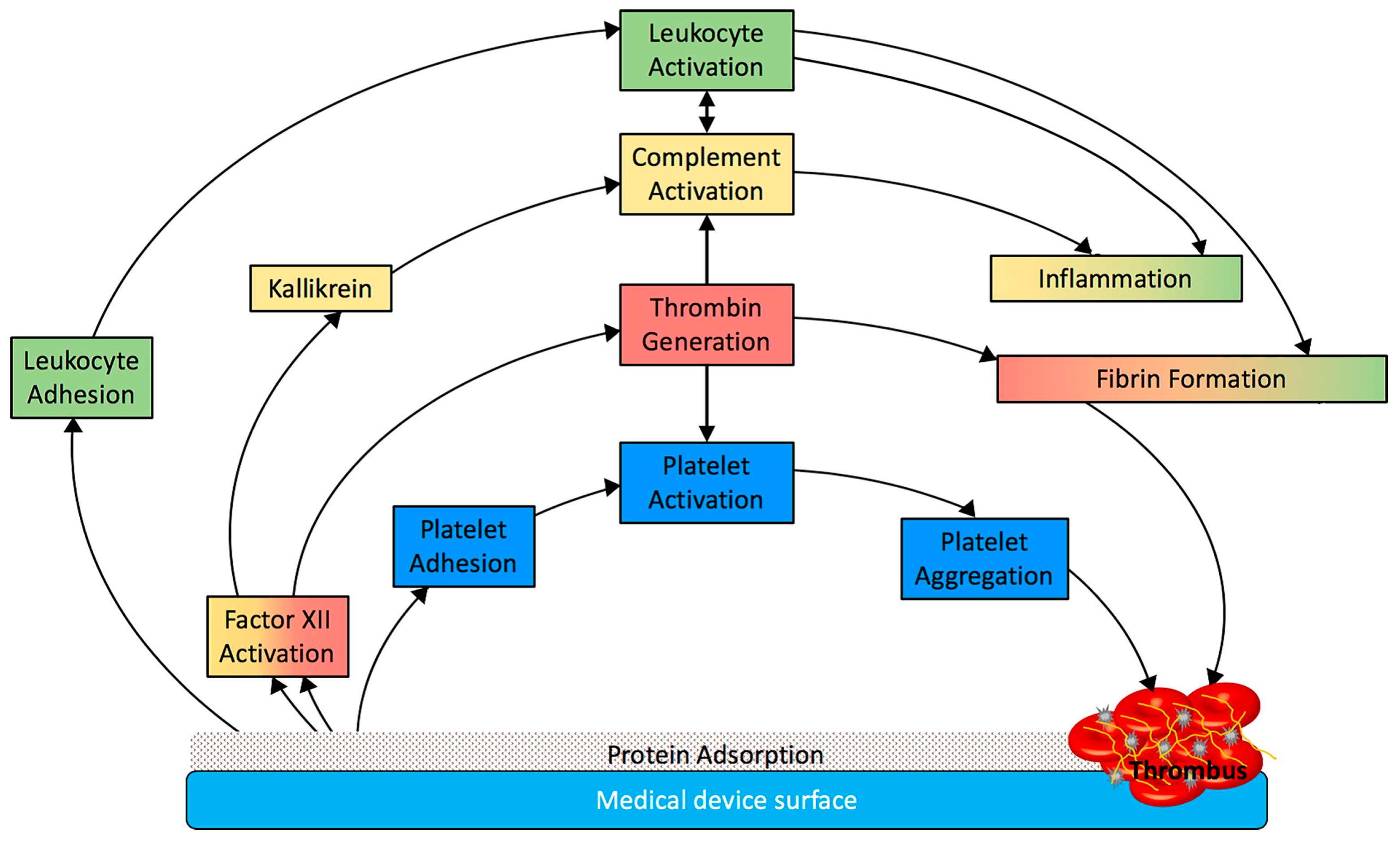 Membranes 13 00762 g003 Membranes 13 00762 g003