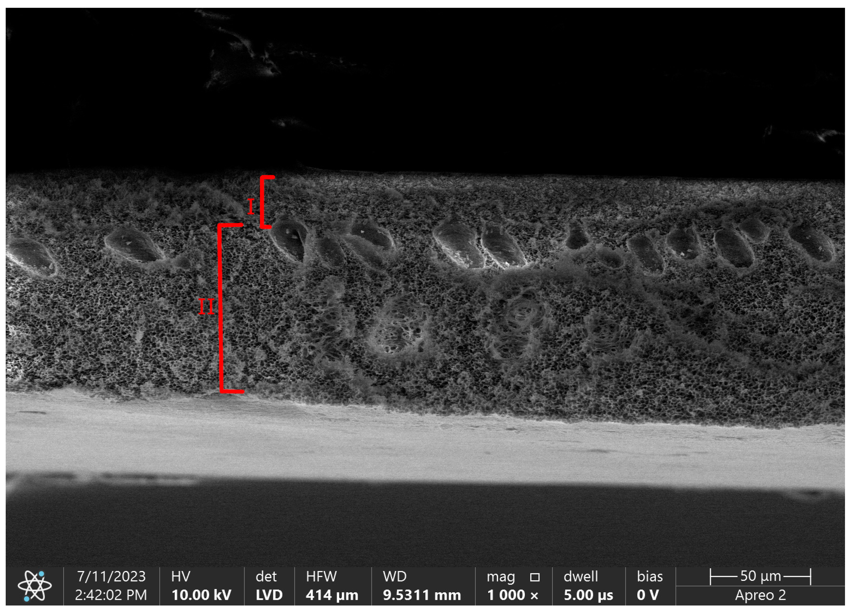 Membranes 13 00762 g004 Membranes 13 00762 g004