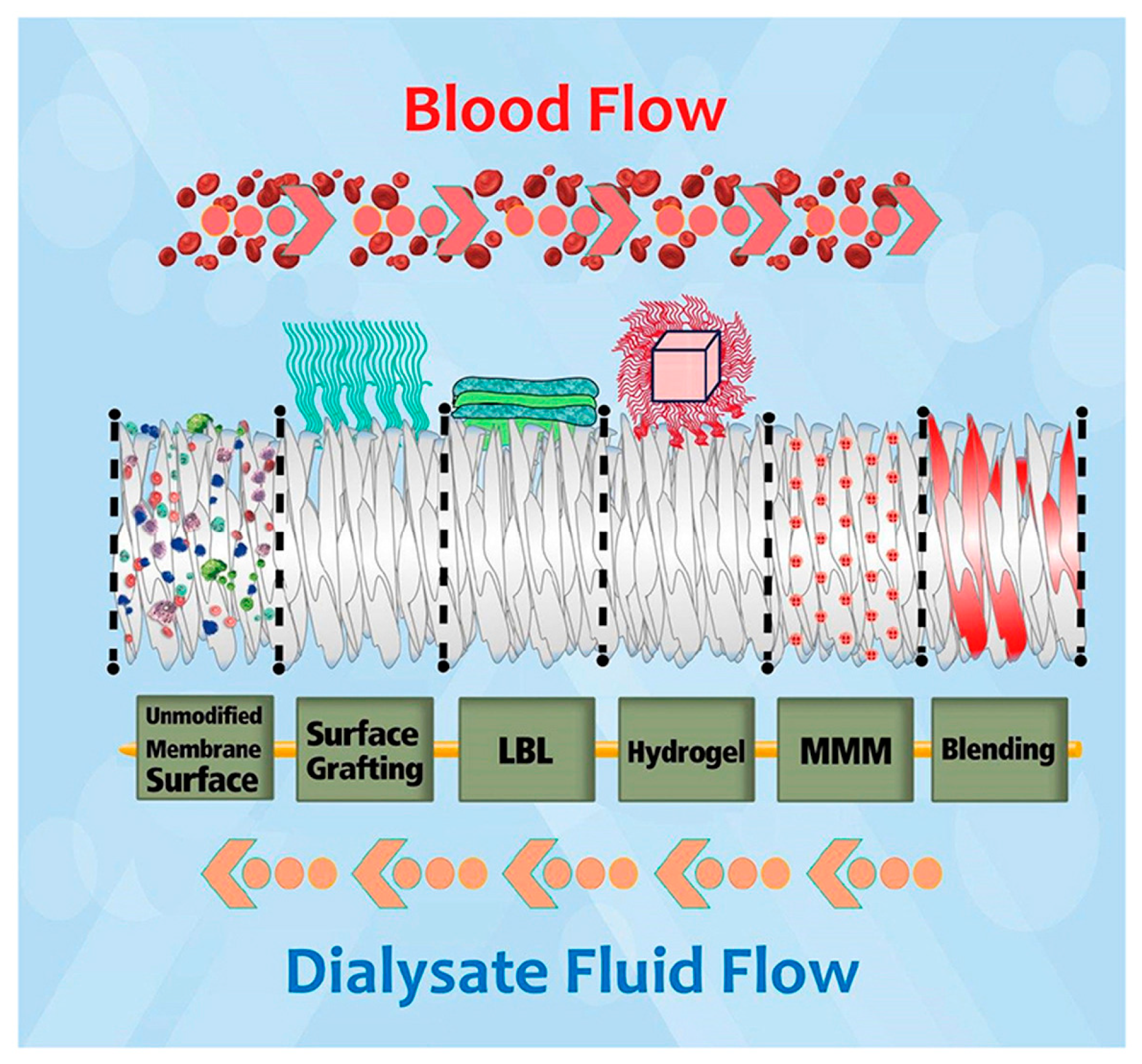 Membranes 13 00762 g005 Membranes 13 00762 g005