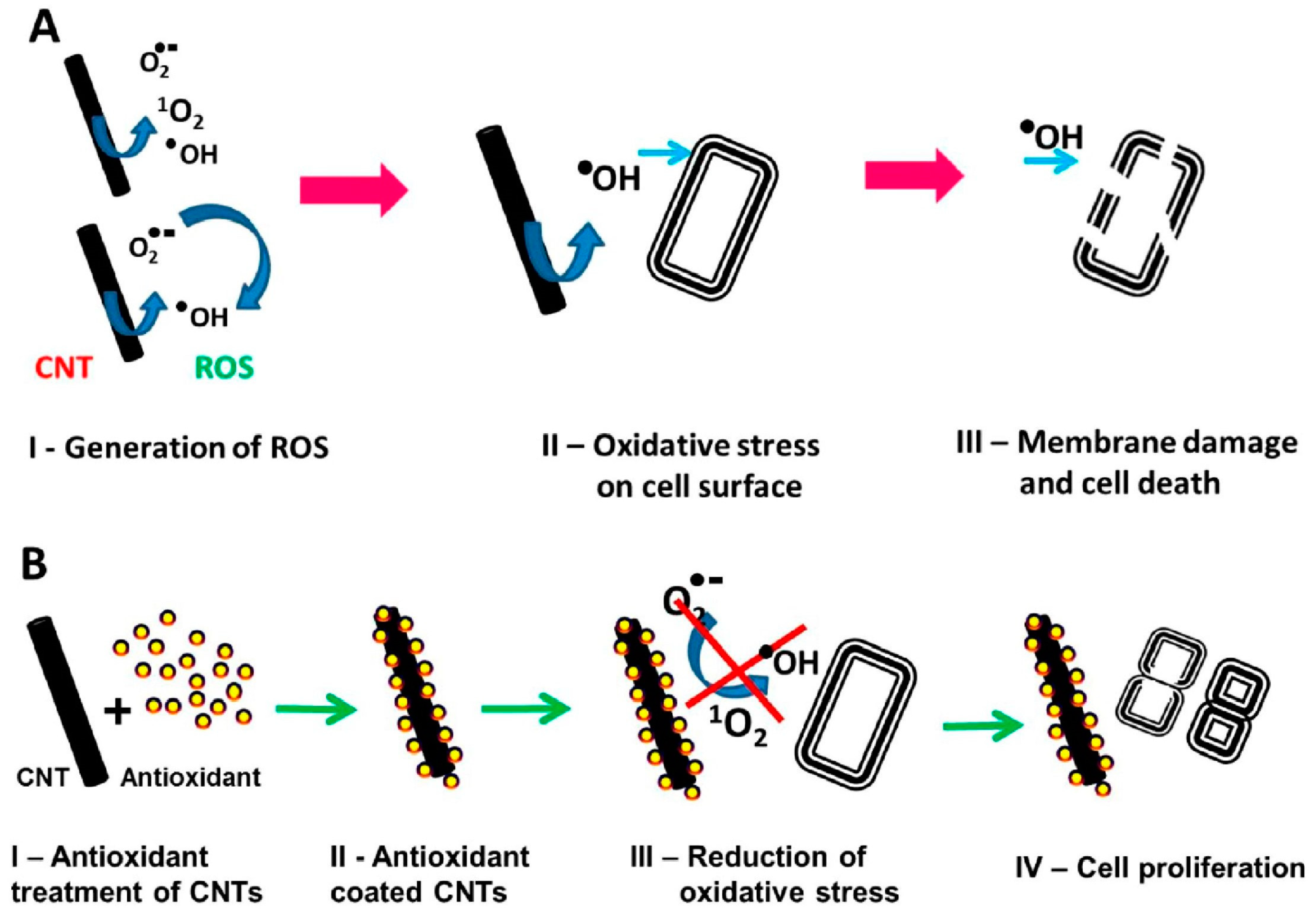 Membranes 13 00762 g006 Membranes 13 00762 g006