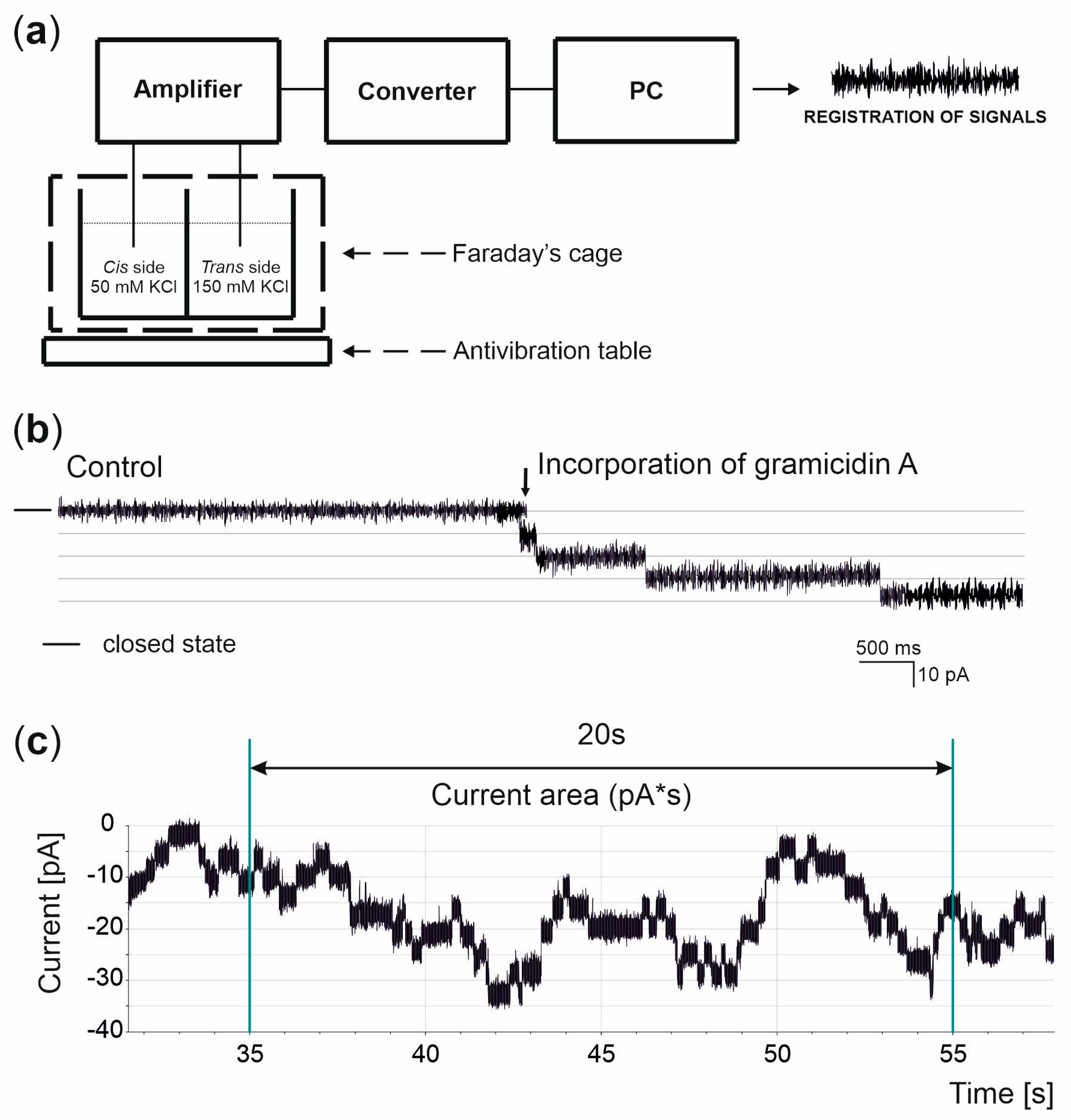 Membranes 13 00763 g002
